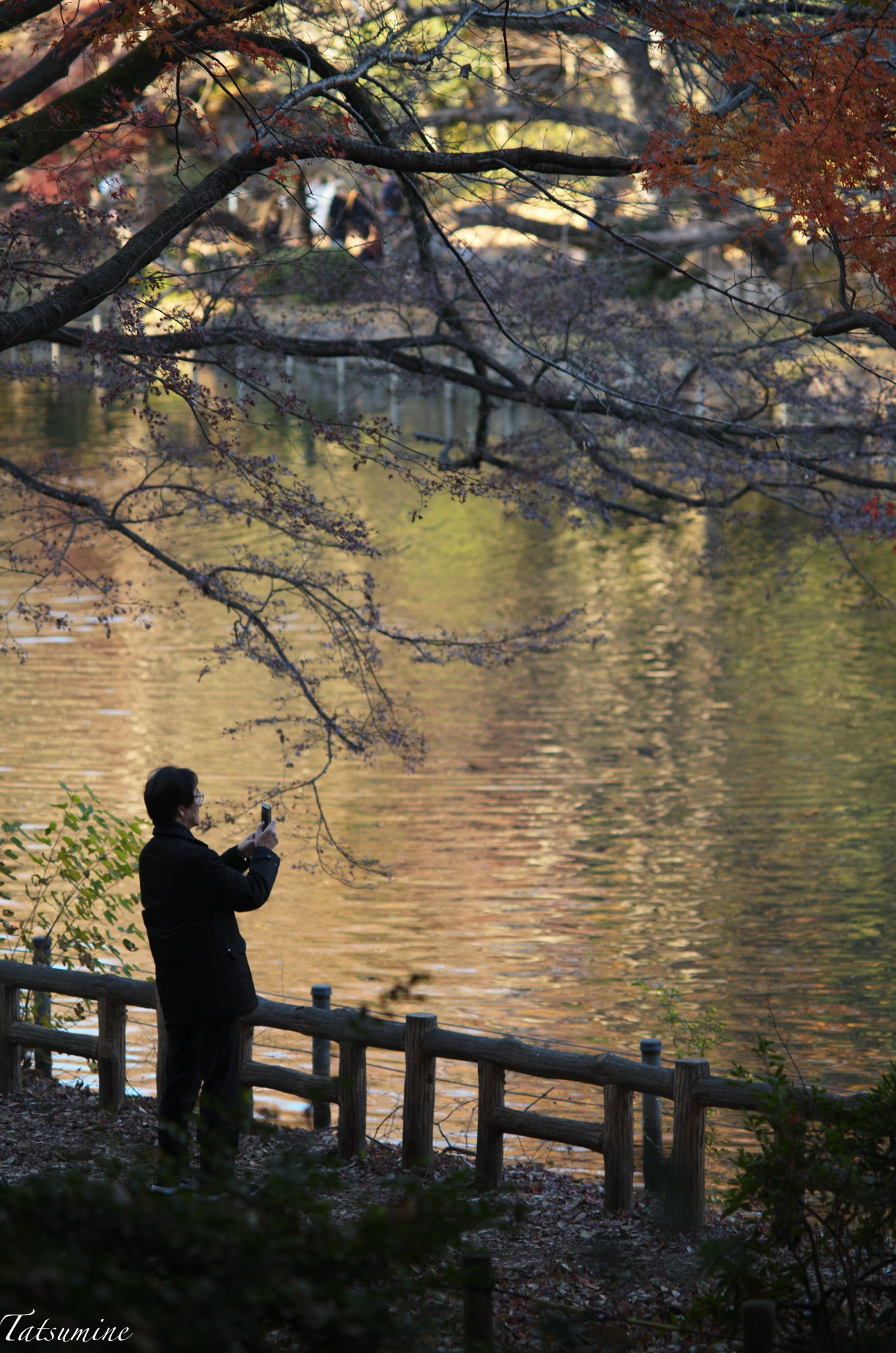 レトロ⭐7142 Canon SERENAR 135mm 4ライカ Lマウント Serenar 135mm f/4 I - Canon Camera Museum