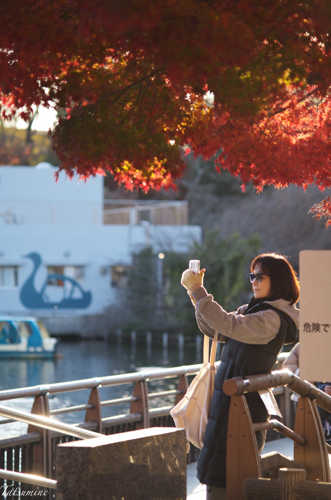 Canon (Serenar) 135mm F3.5 L39マウント|tatsumine Canon (Serenar) 135mm F3.5 L39マウント|tatsumine