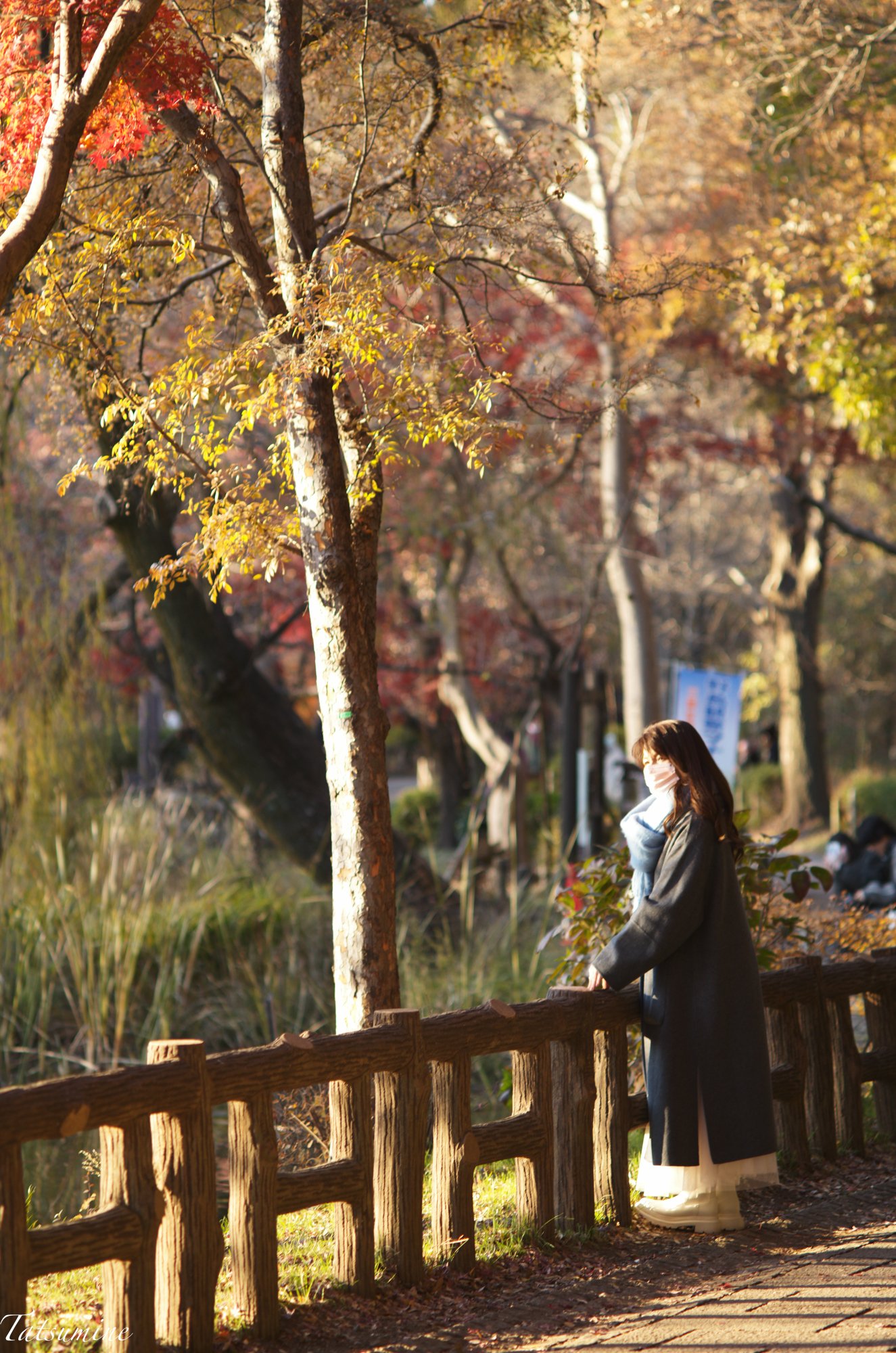 Canon (Serenar) 135mm F3.5 L39マウント｜tatsumine