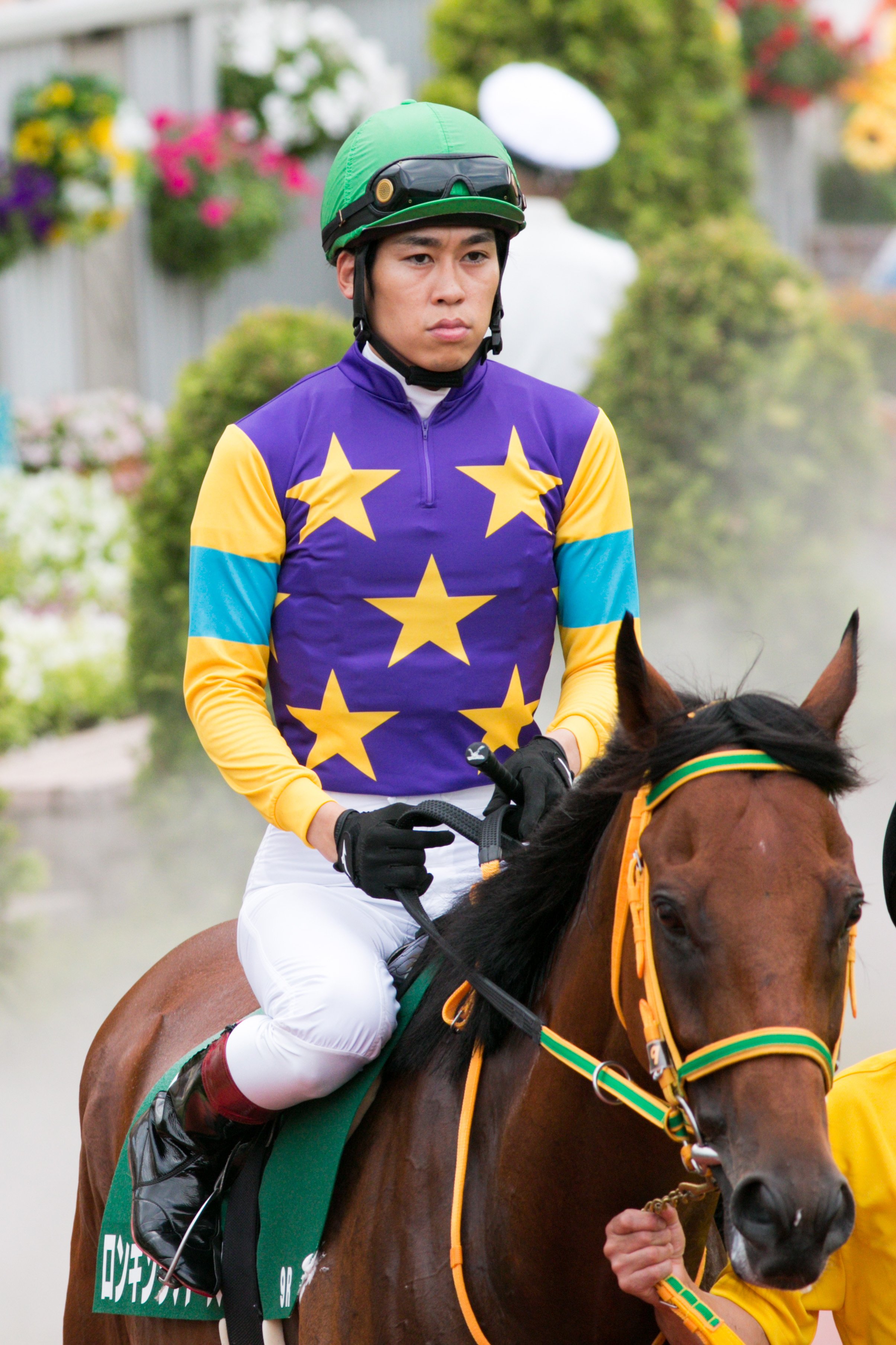 2024.12.21 第147回中山大障害(J-G I) 各馬雑観｜ライシャワー