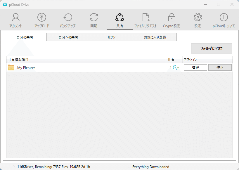 クラウドストレージなのに買い切りプランが用意されているpCloudを購入