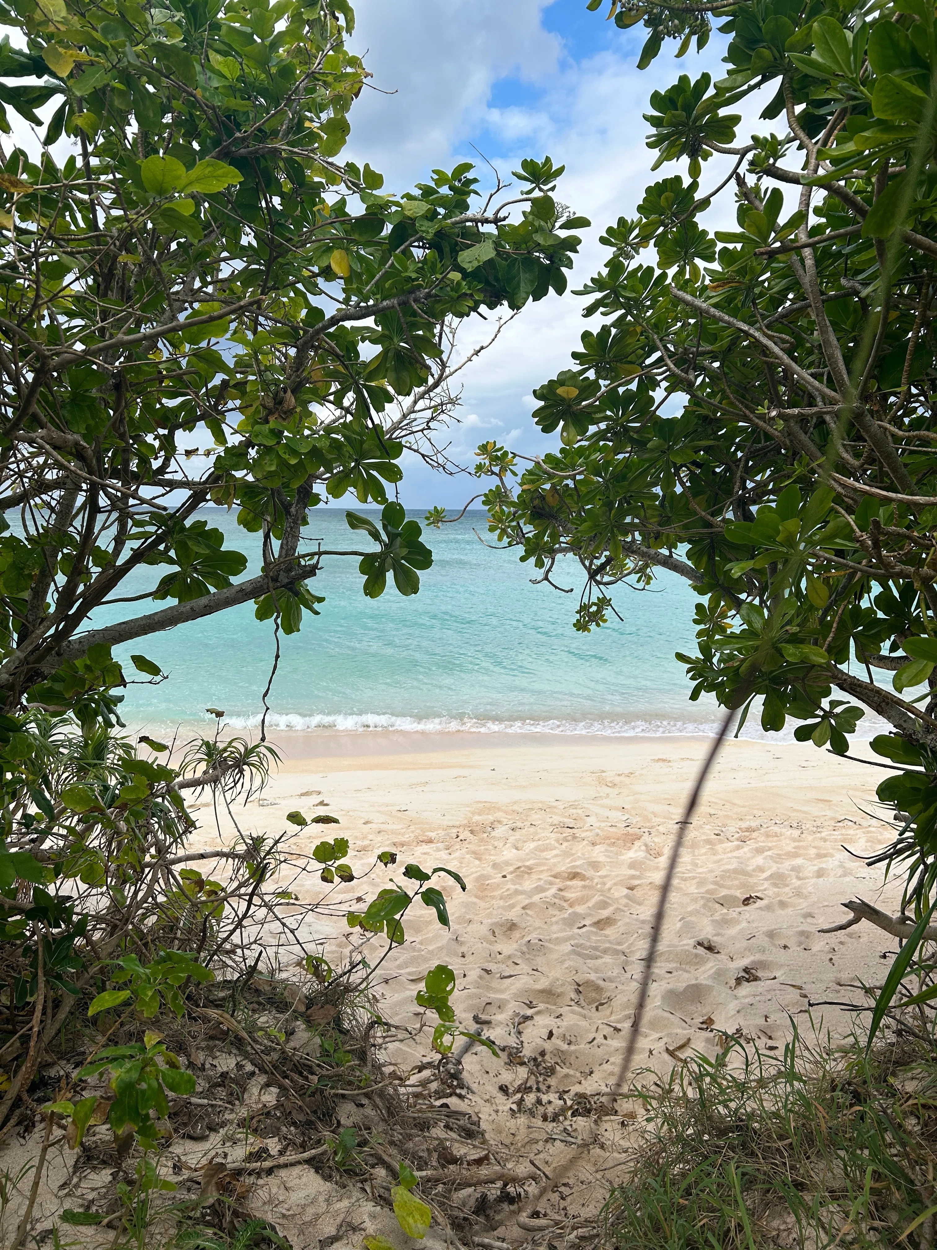 DAY 51】波照間島を1日で遊び尽くした！！けど、絶対また来ると心に