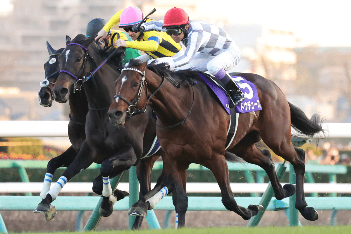 有馬記念の馬 SANSPO - サンスポZBAT!