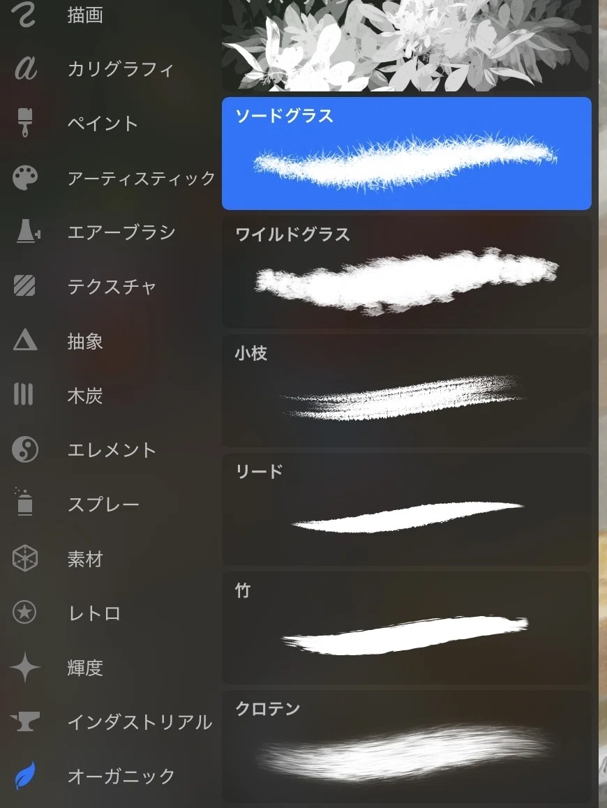 画像