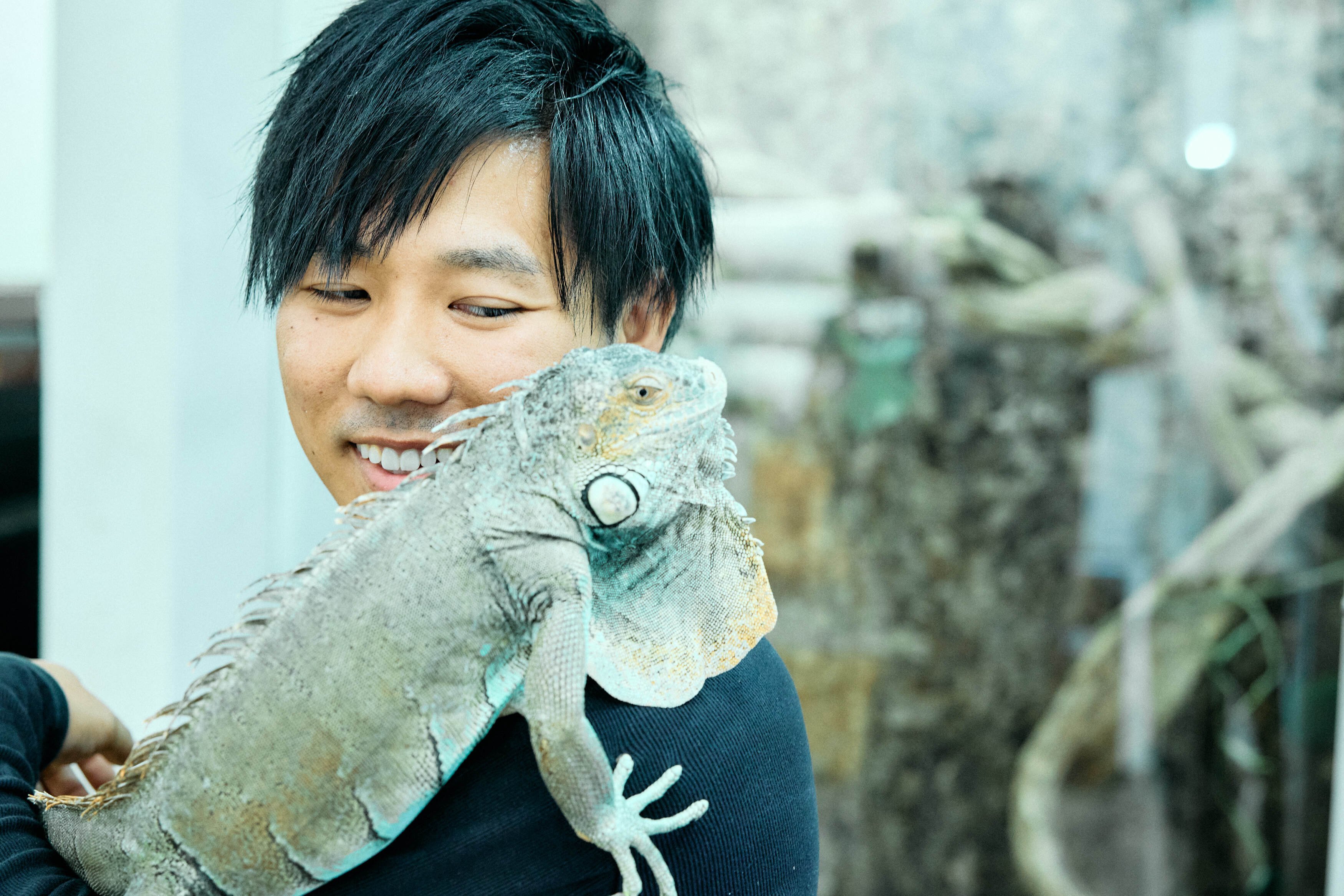 爬虫類を飼うこと。生き物の全てを好きでいること。ちゃんねる鰐