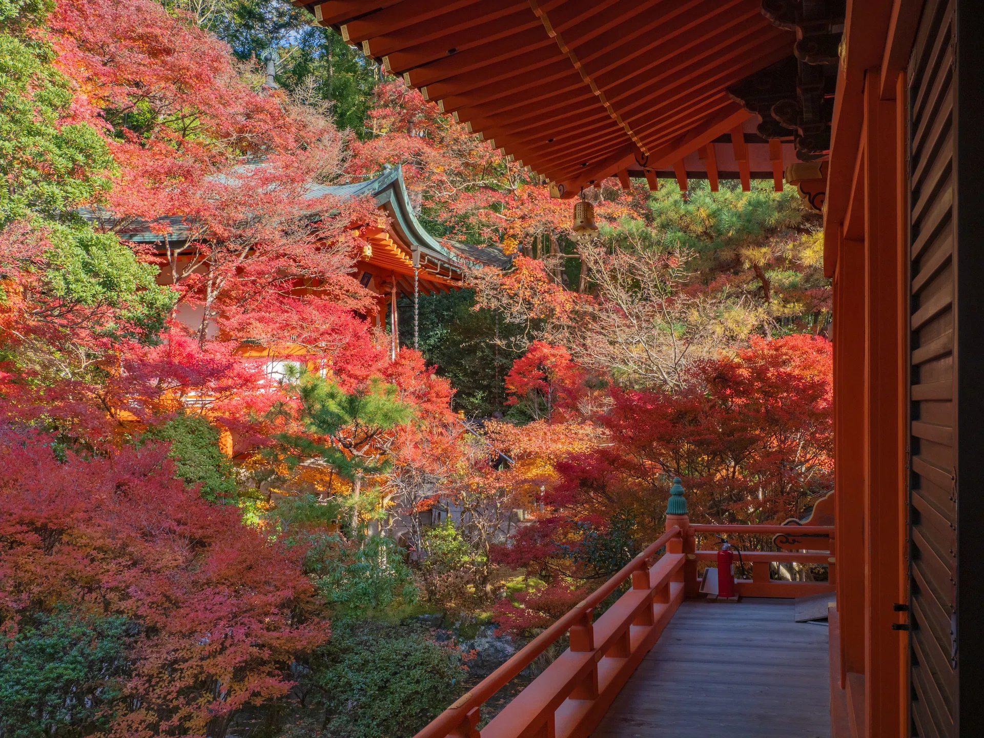 紅葉狩り 2024 毘沙門堂・随心院｜KATSUMI