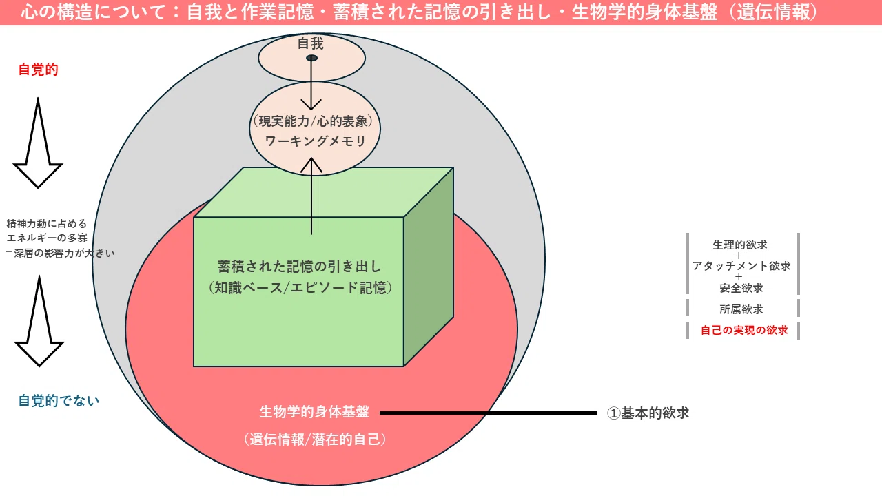 ワーキングメモリ : 思考と行為の心理学的基盤 ワーキングメモリ 思考と行為の心理学的基盤 | A.バドリー(A