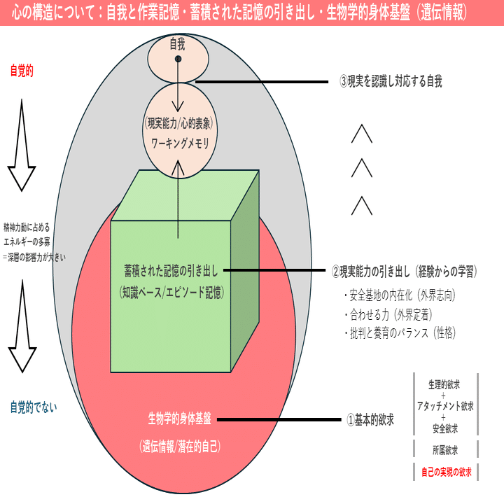 心とはなにか」を領域横断の心理学で理解する。【認知心理学・精神分析