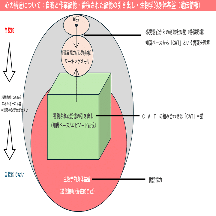 心とはなにか」を領域横断の心理学で理解する。【認知心理学・精神分析
