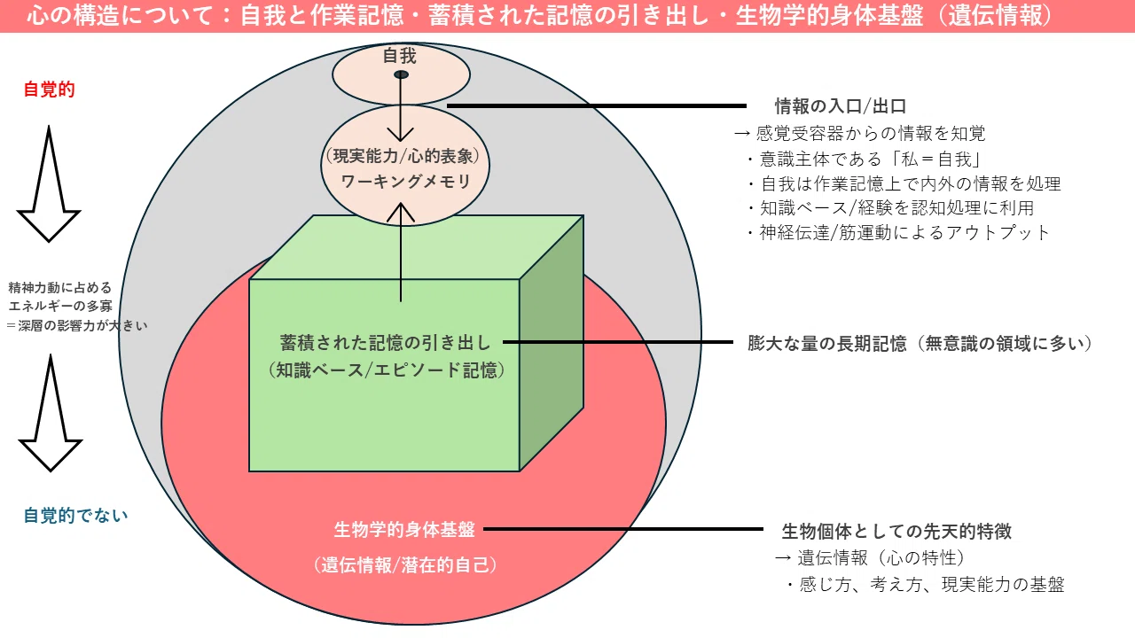 心とはなにか」を領域横断の心理学で理解する。【認知心理学・精神分析