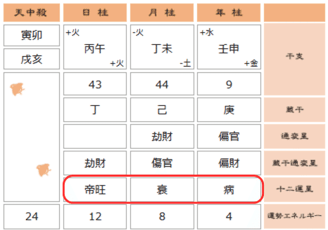 【絶版】十干 十二支 十二運星 通変星 象意秘伝書　天野雲海 著 通変星・十二運星編】命式からあなたの通変星と十二運星を見て