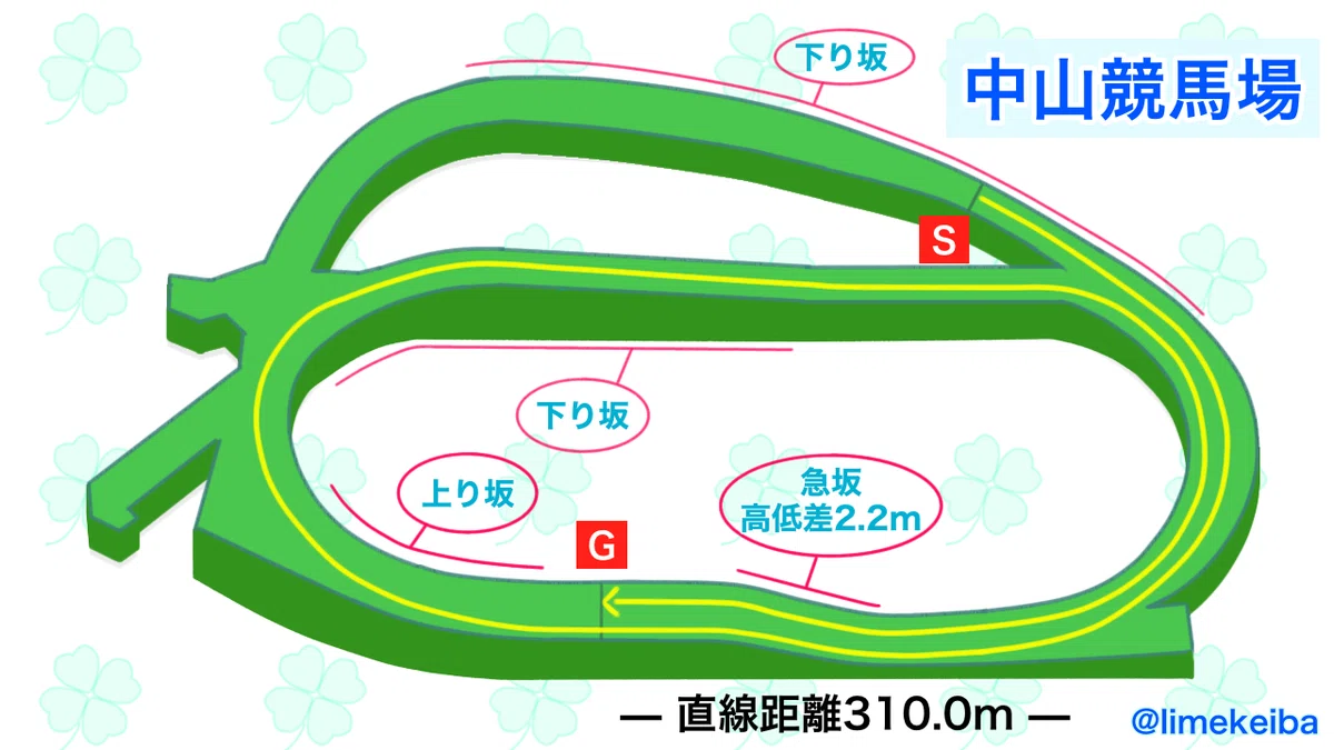 有馬 記念 コース