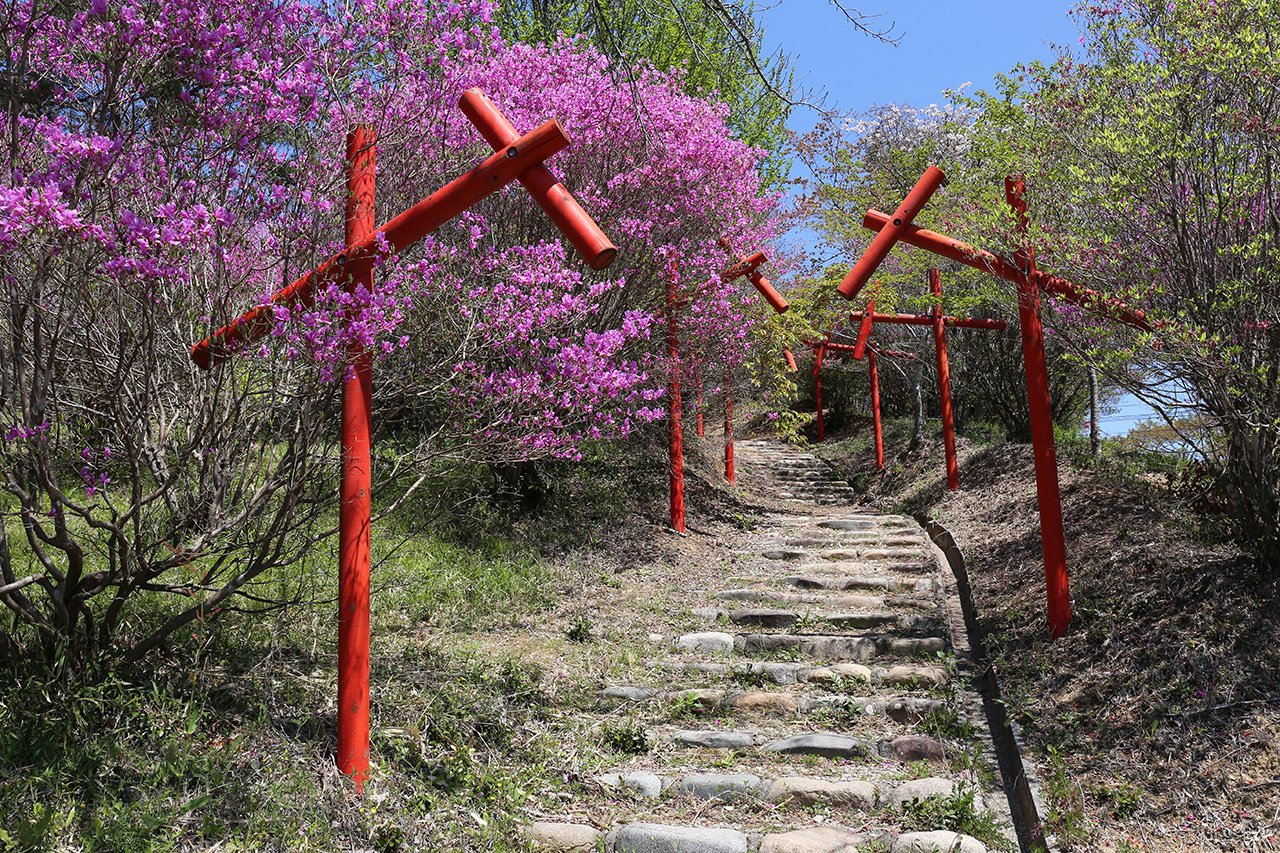 93．1万株のツツジを見下ろす三休公園｜sasayan