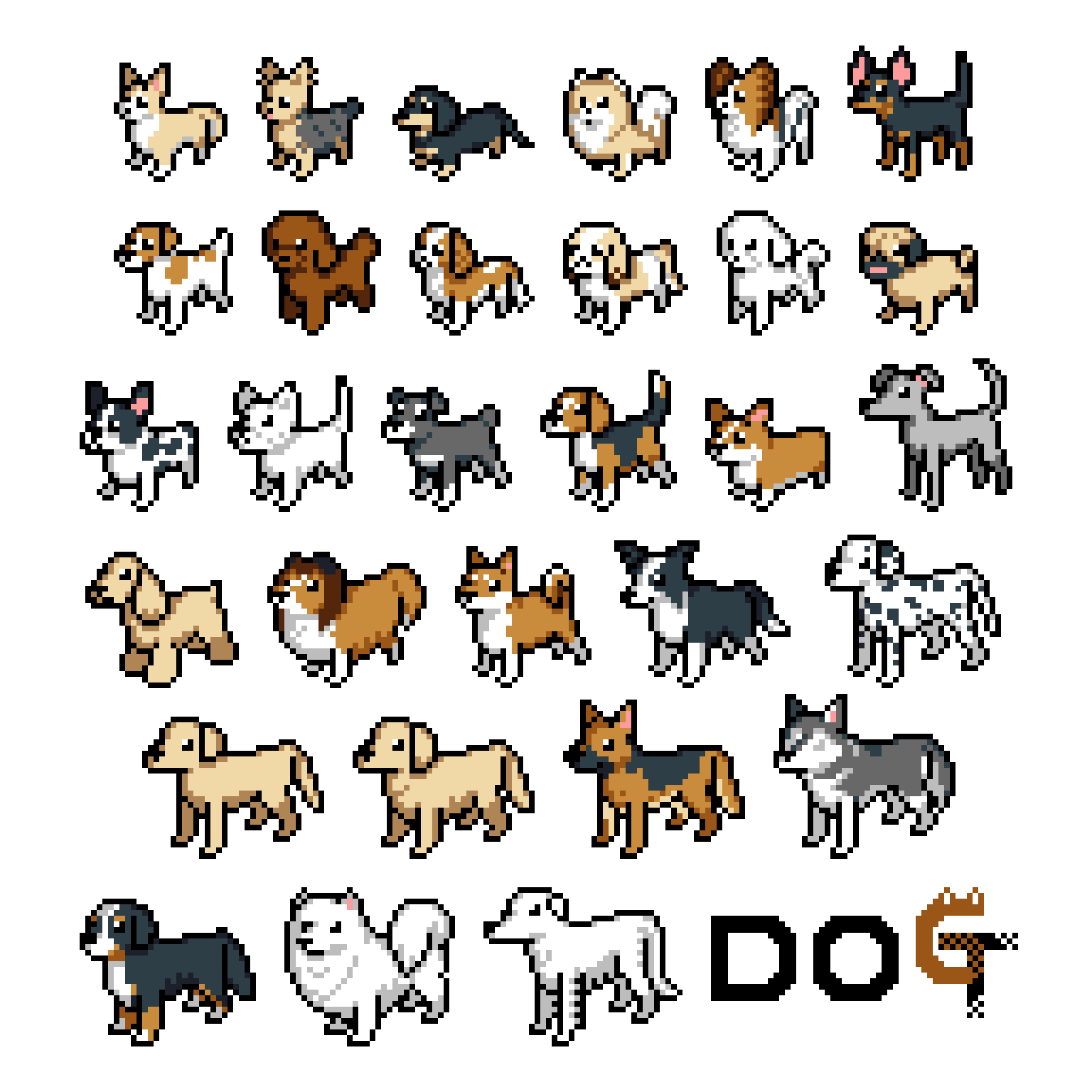 犬犬犬ドット｜ハル