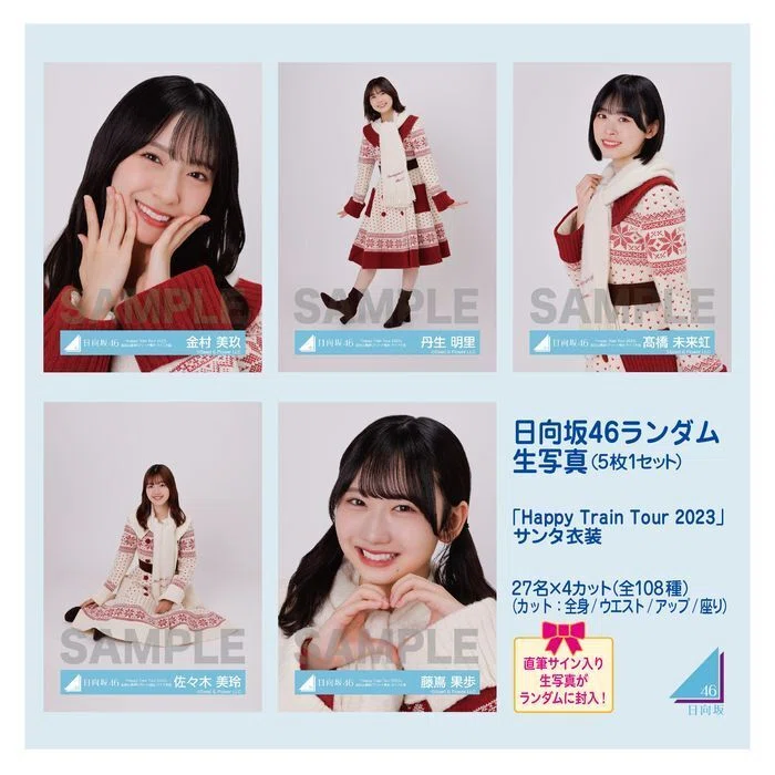 日向坂46 加藤史帆 直筆サイン サンタ衣装 生写真 【公式通販】