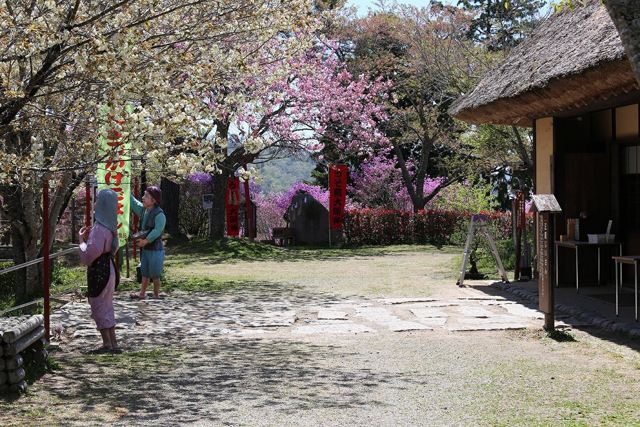 93．1万株のツツジを見下ろす三休公園｜sasayan