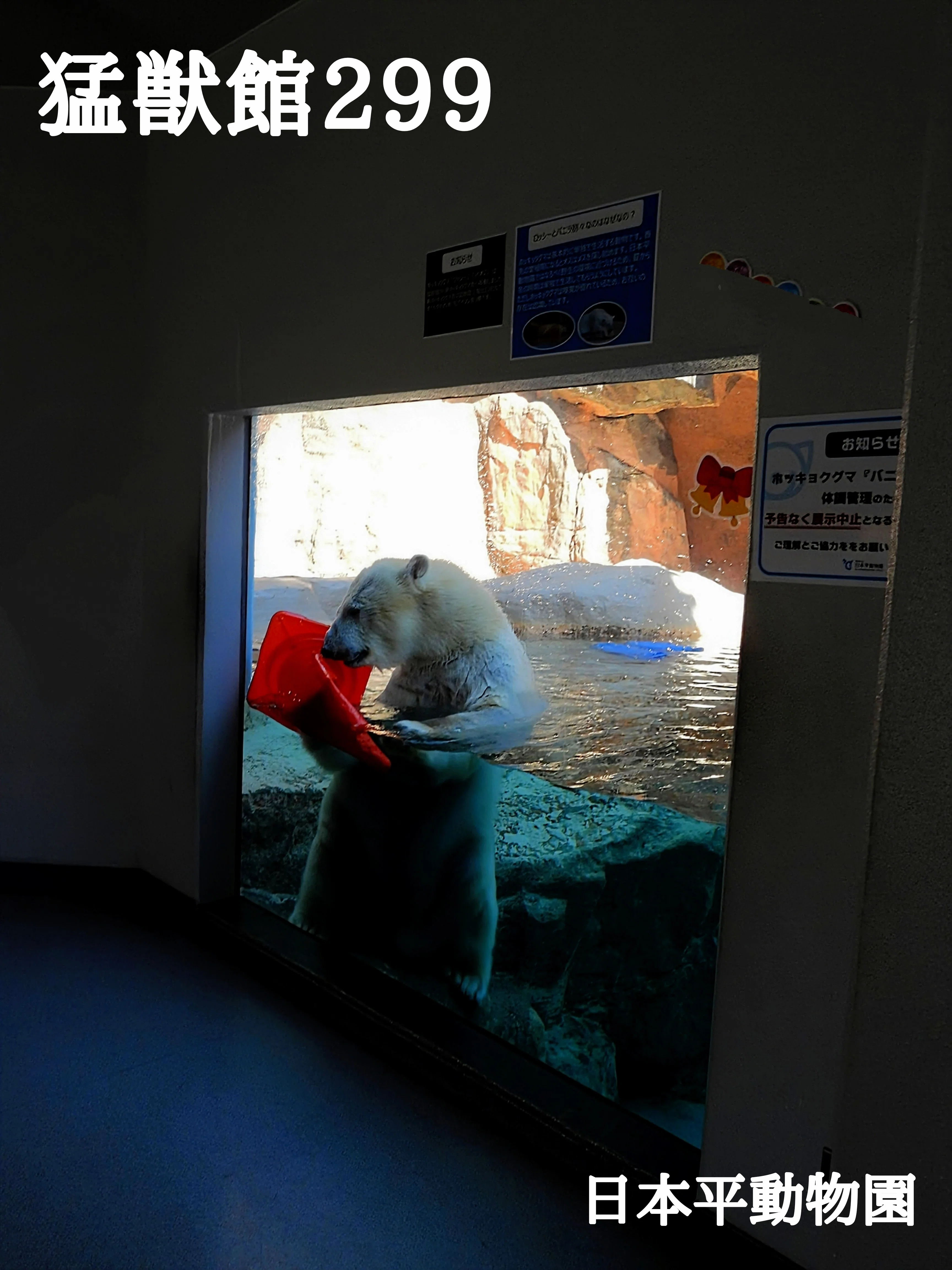 日本平動物園へ行ってきました。2024.12.11 wed. （動物編）｜michio