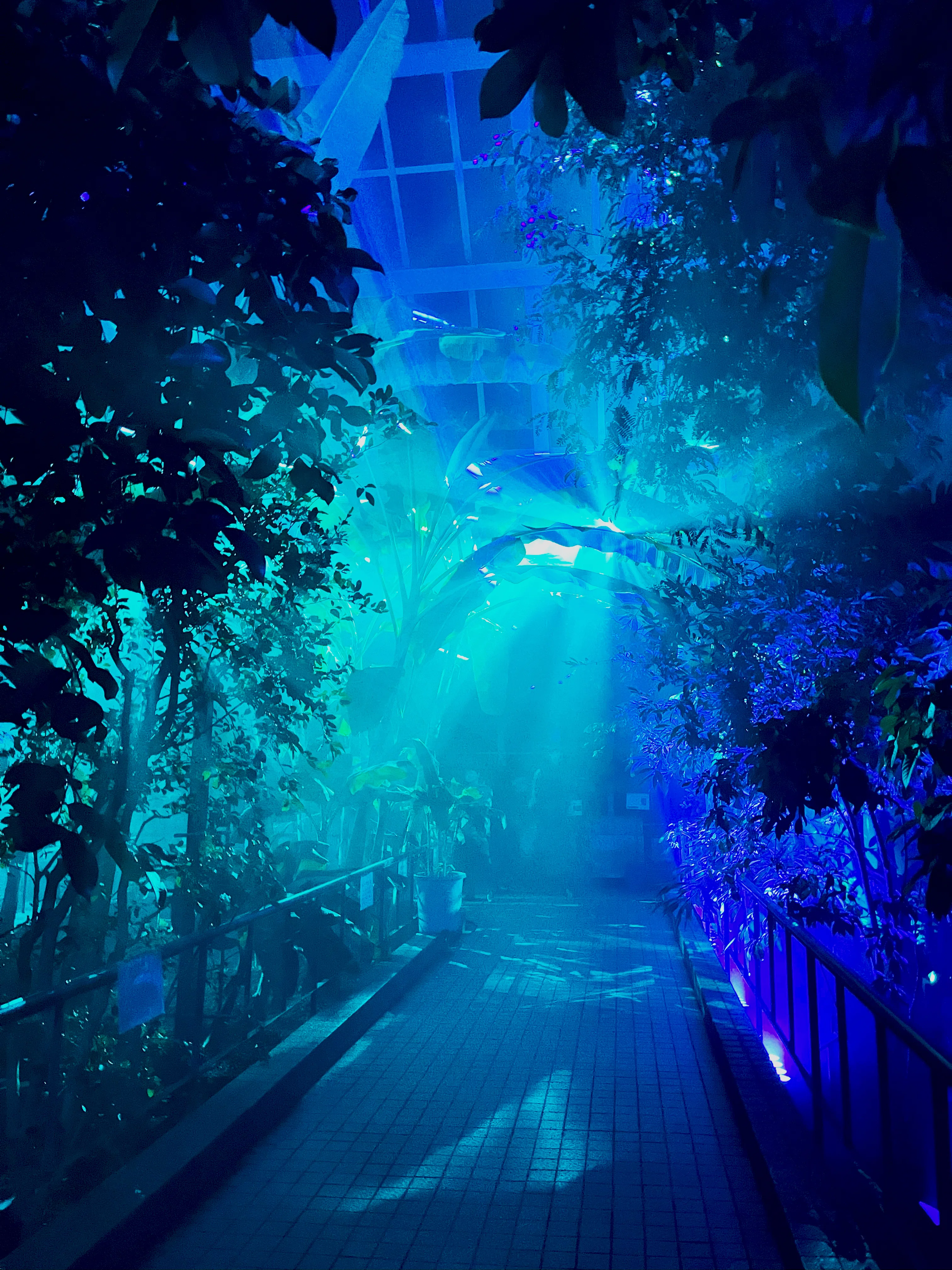 LIGHT CYCLES KYOTO 京都府立植物園｜ふじすけ