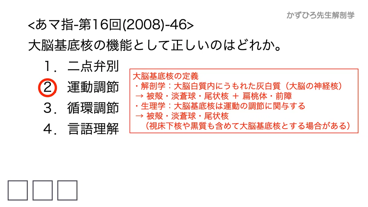 大脳基底核(basal ganglia)の構造的および機能的な分類|かずひろ先生(黒澤一弘|解剖×教育×AI)