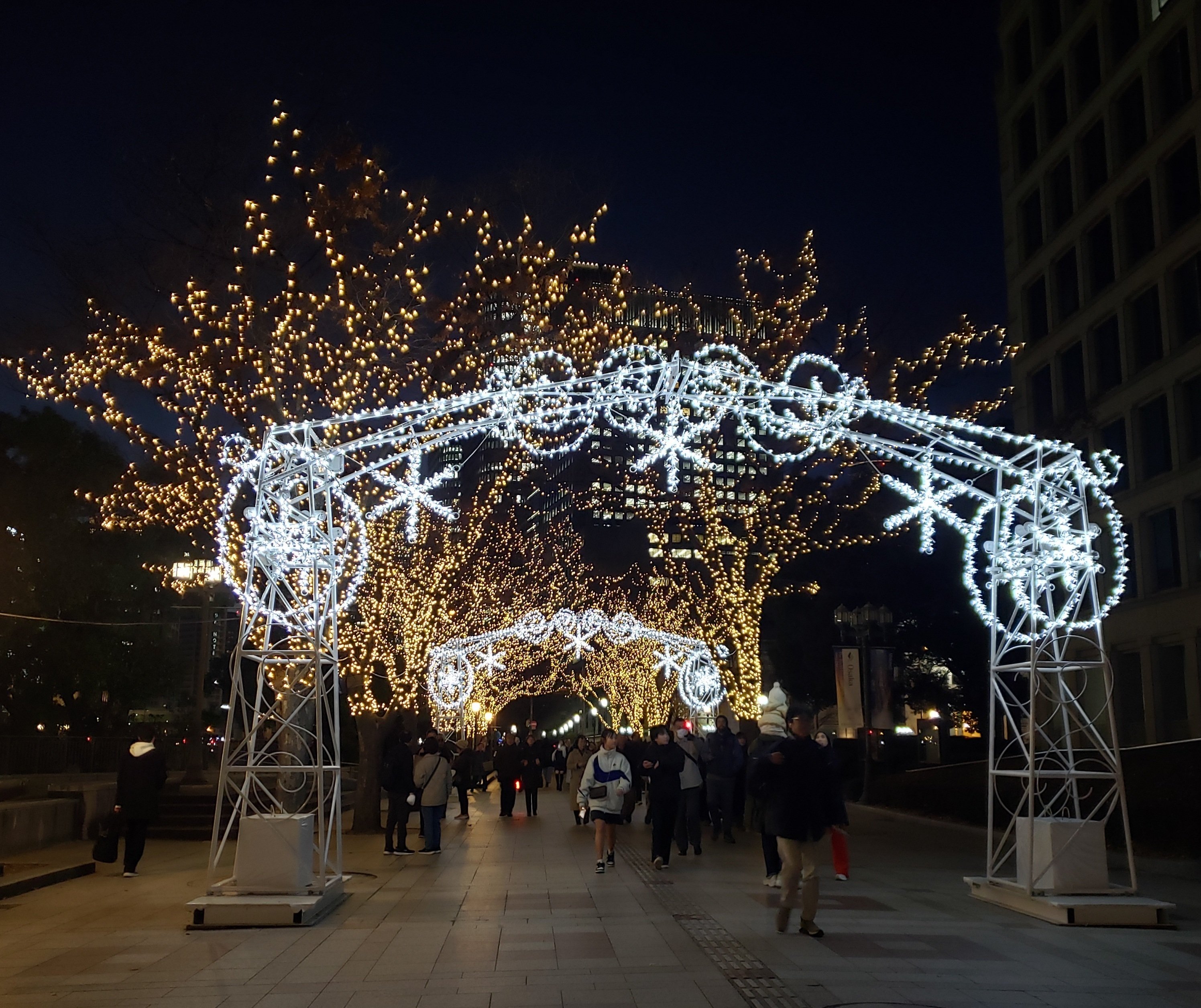 OSAKA 光のルネサンス2024｜ひばりん