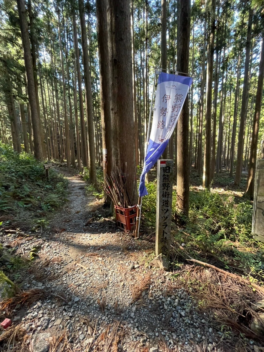 12月① 熊野古道 ツヅラト峠｜もよりん