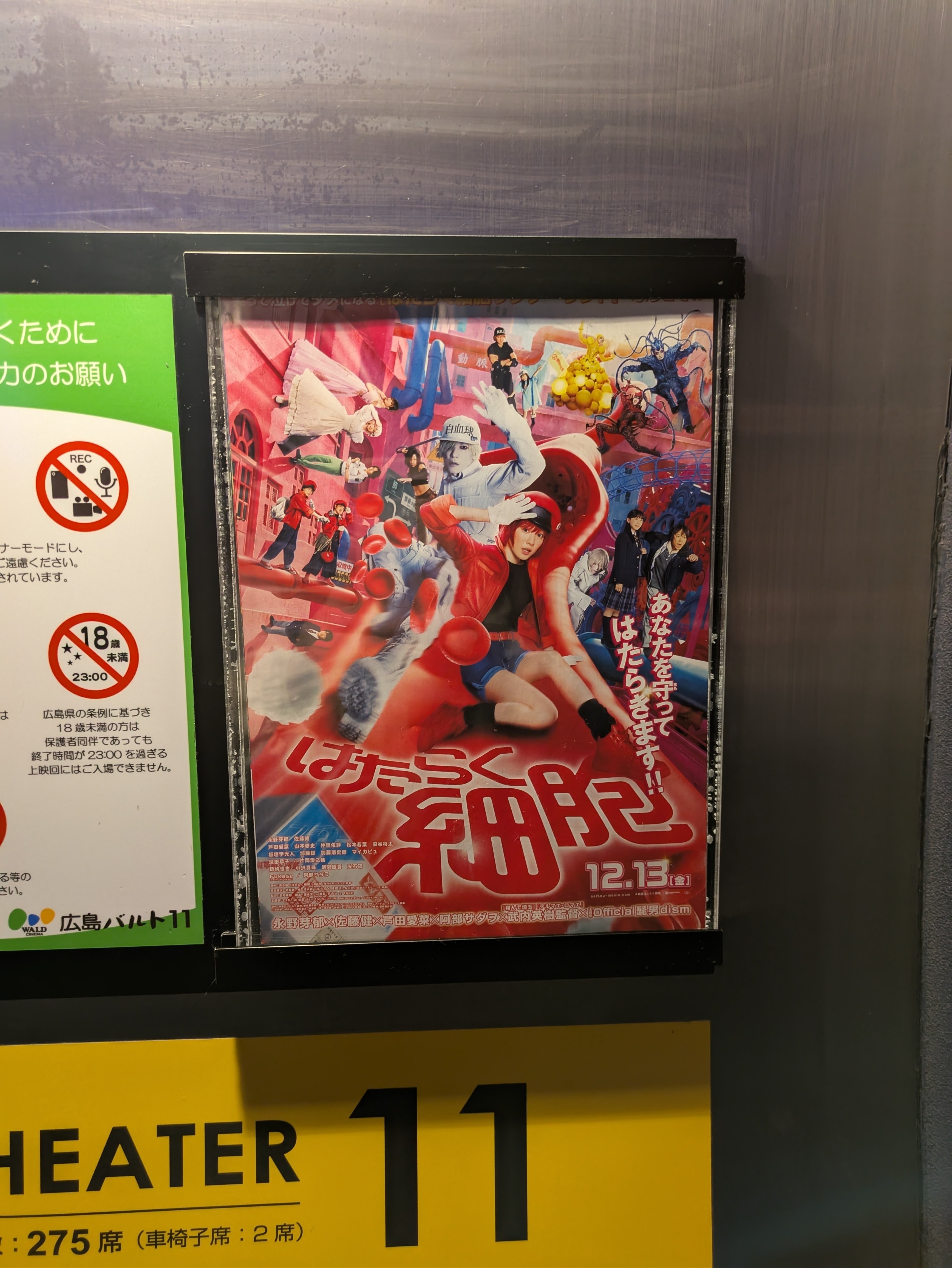 はたらく細胞  1話 アフレコ台本 本物 Cells at Work Hataraku Saibou Compare Anime and Reality