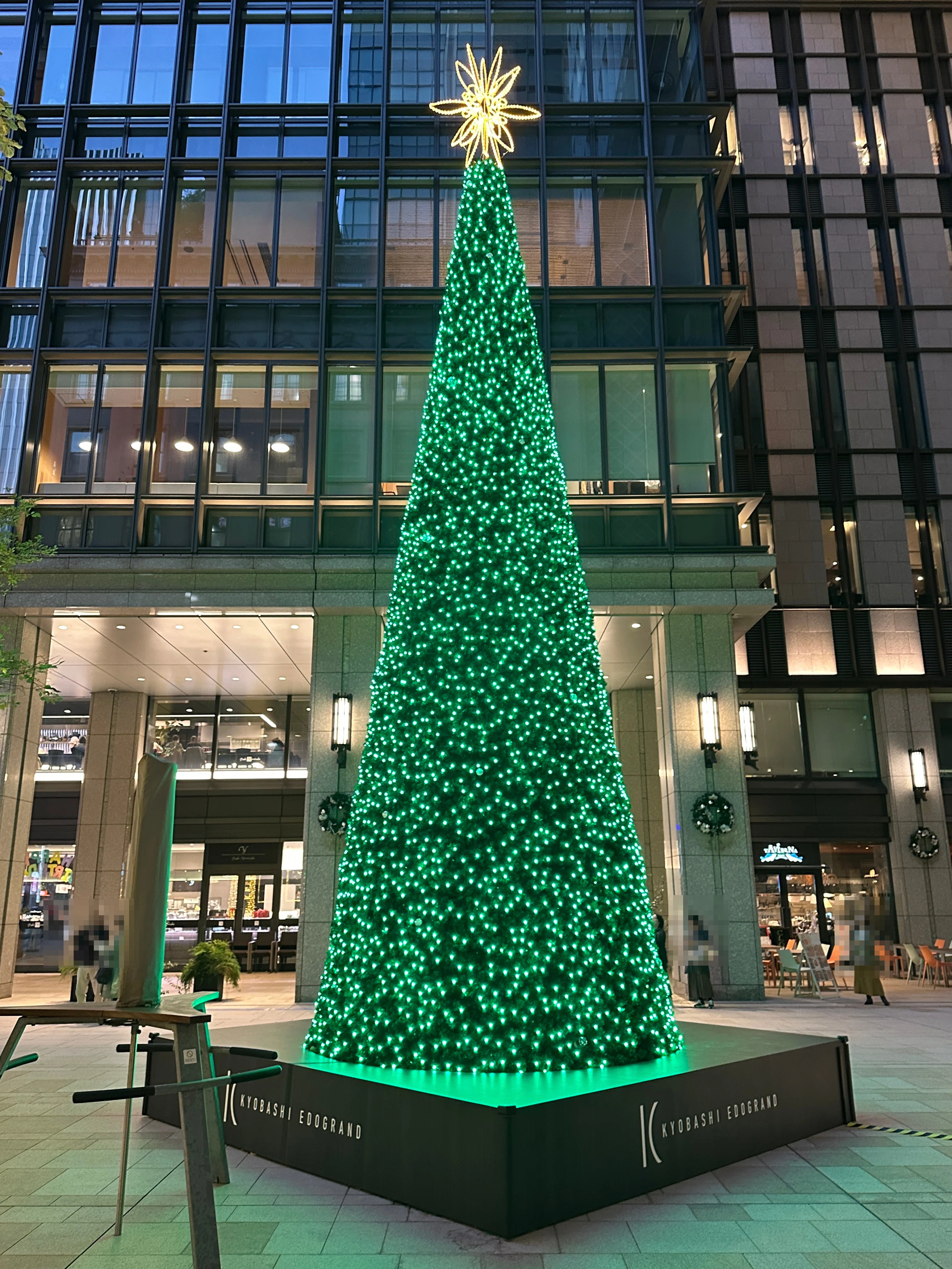 クリスマスツリー2024｜Saki