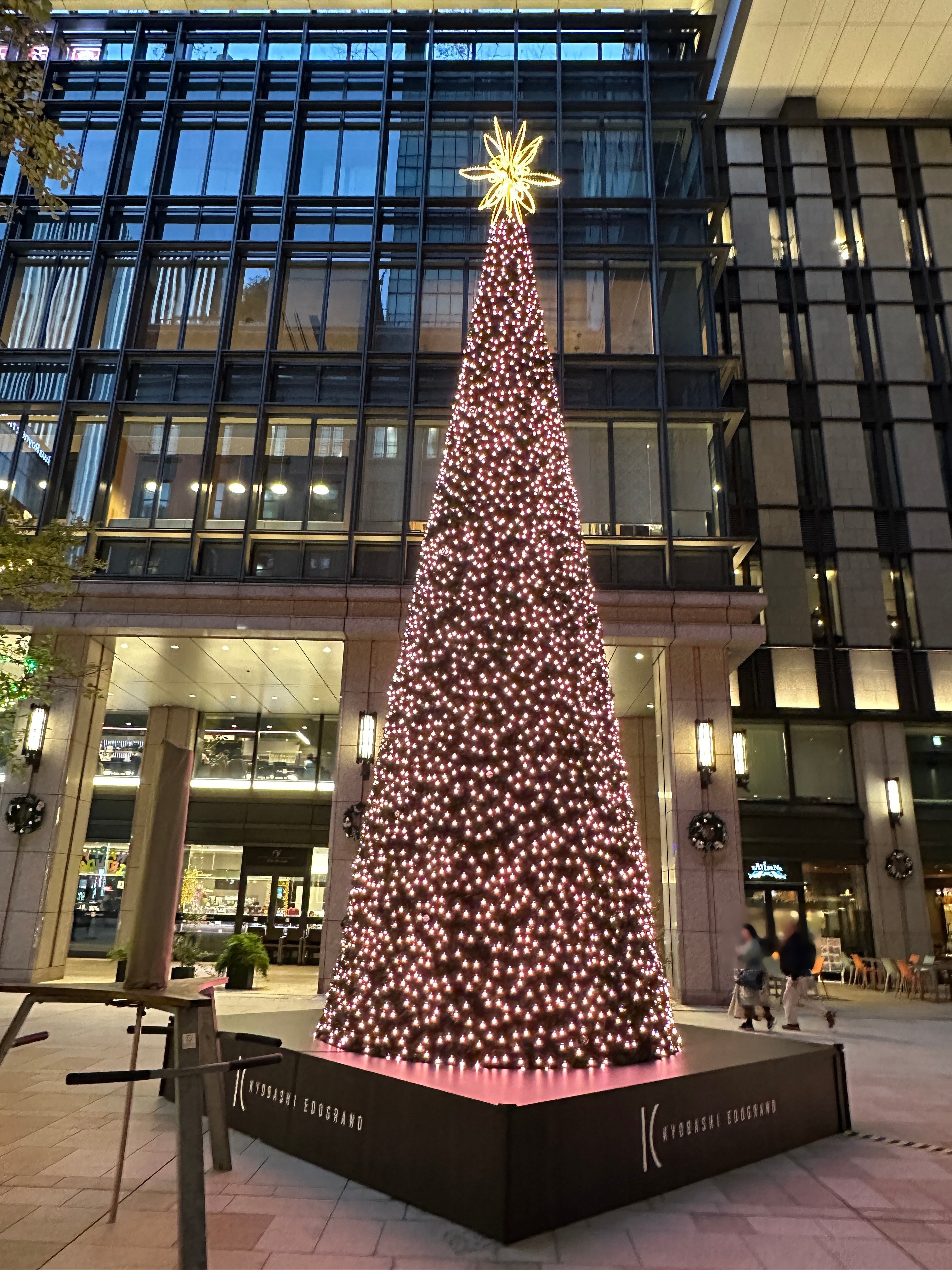 クリスマスツリー2024｜Saki