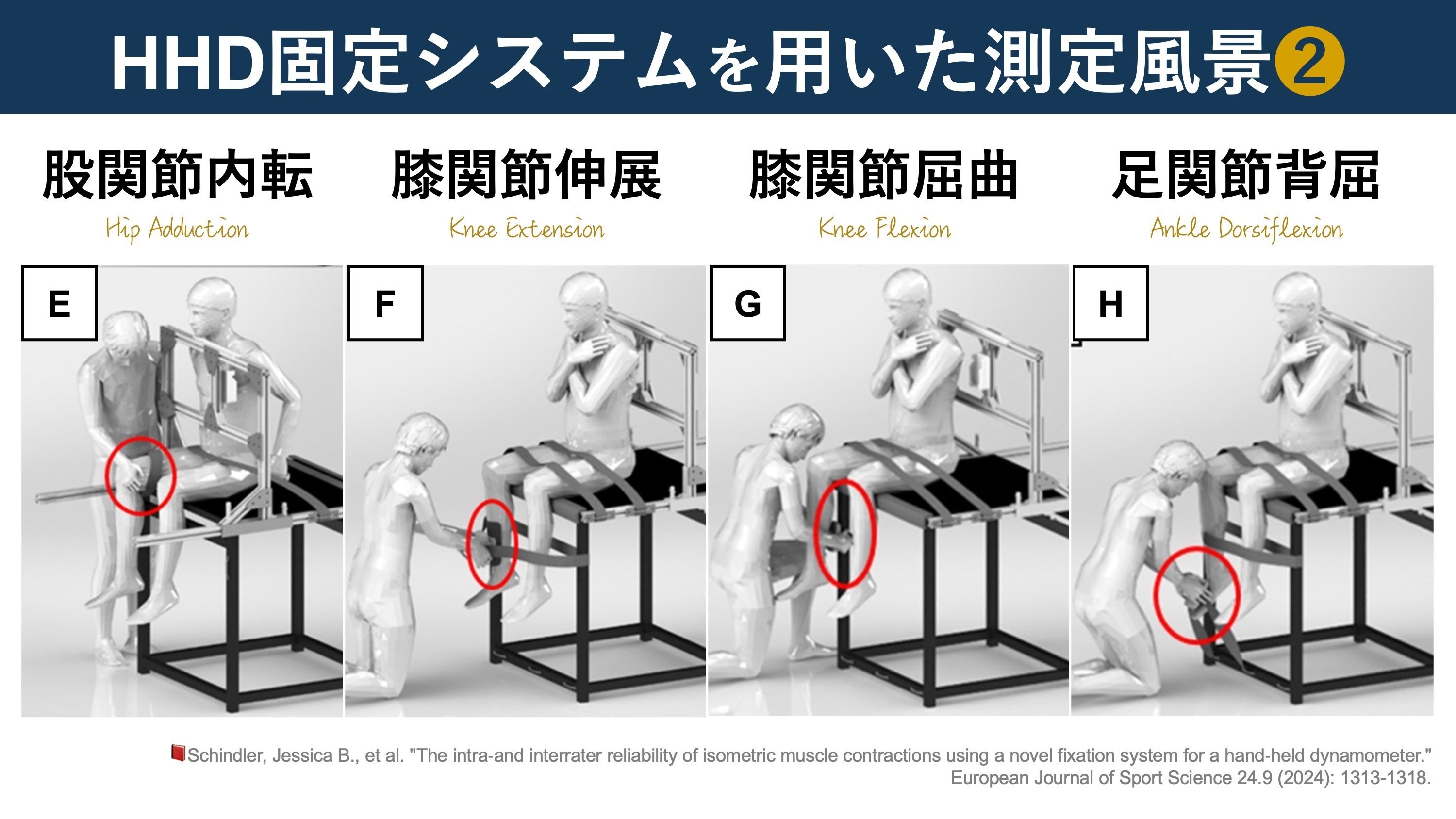 HHD固定システム｜Super Human | 理学療法士／保健学博士 Ph.D.