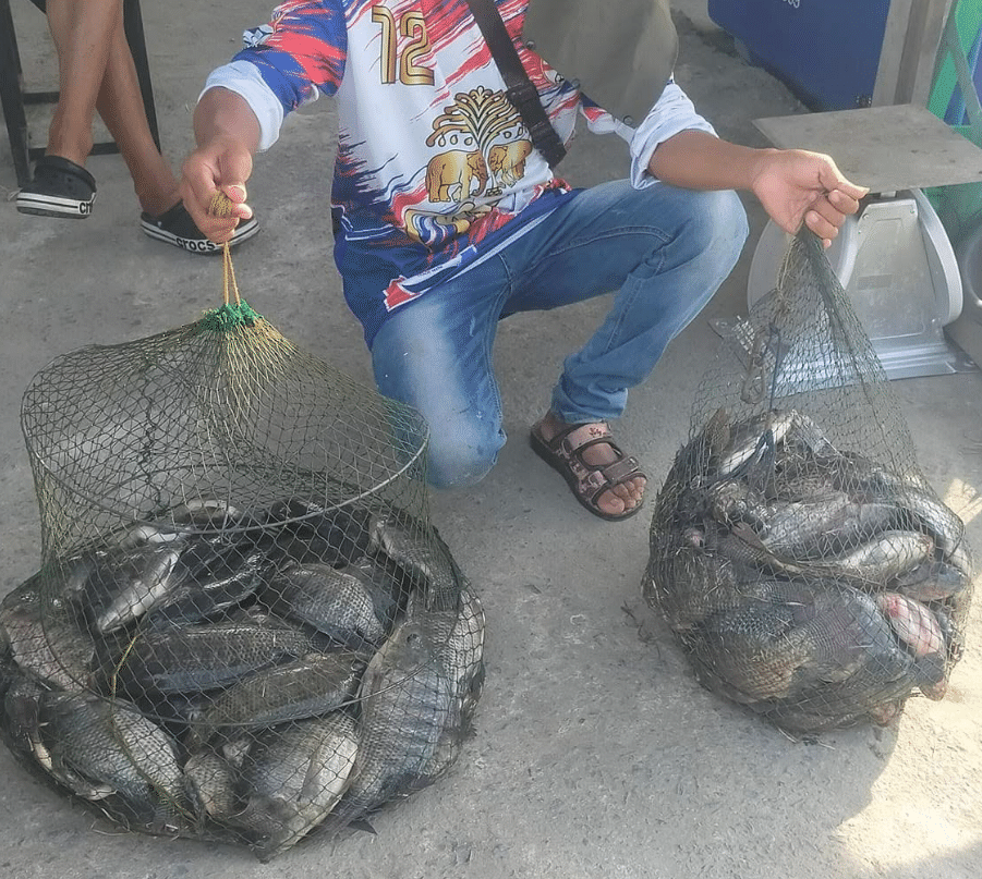 バンコクの釣堀でルアー釣りと練りエサ釣りを1日でやってみる｜タイ