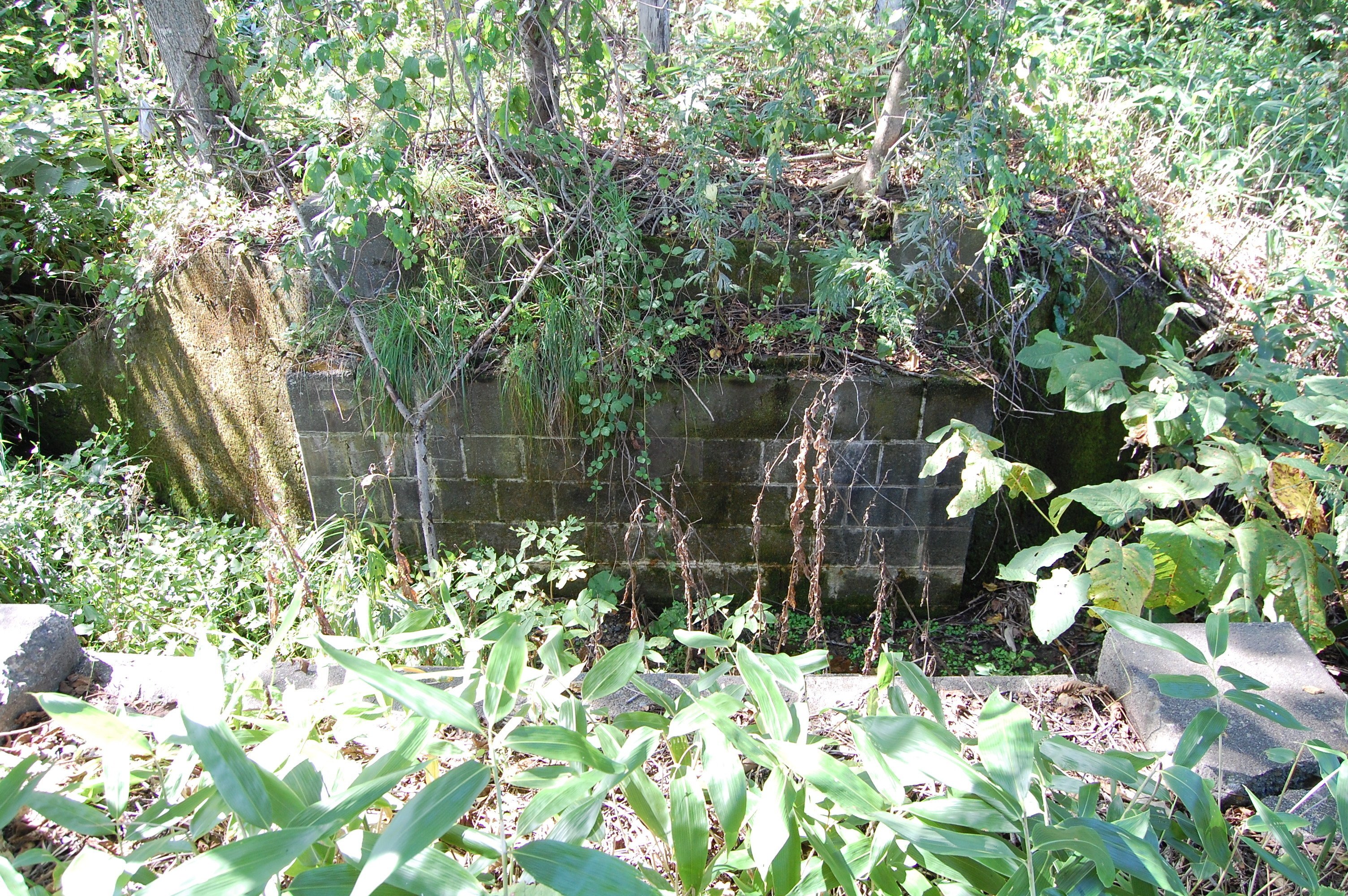 【渚滑森林鉄道（廃線）サボ 行先板】貯木場（むりい）濁川事業所×上丸↔濁川事業所 渚滑森林鉄道（廃線）サボ 行先板】貯木場（むりい）濁川事業所