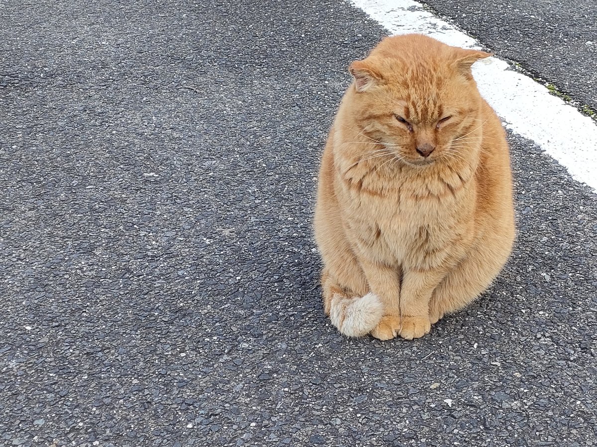 ありがとうございました｜saku 