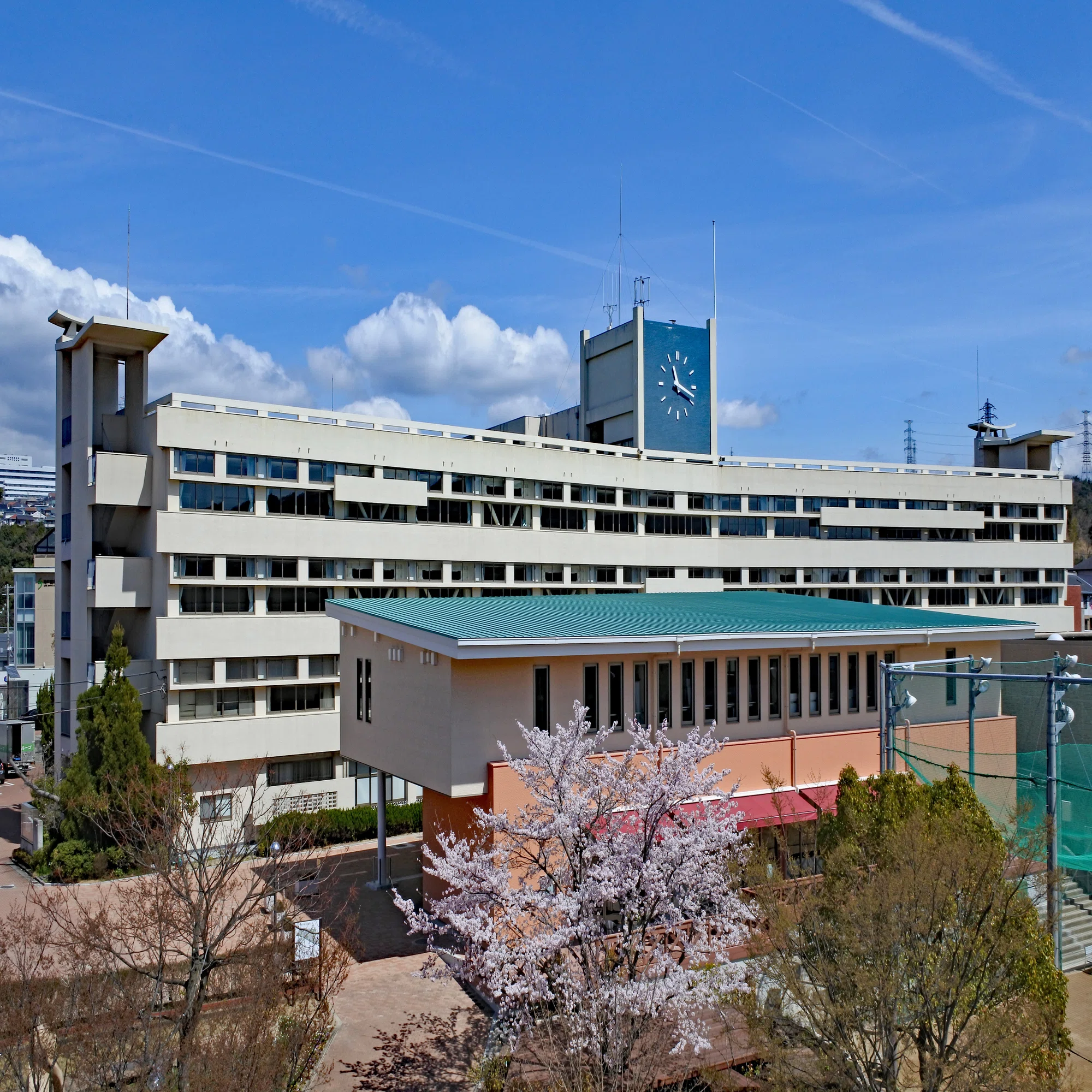 神戸 親和 大学
