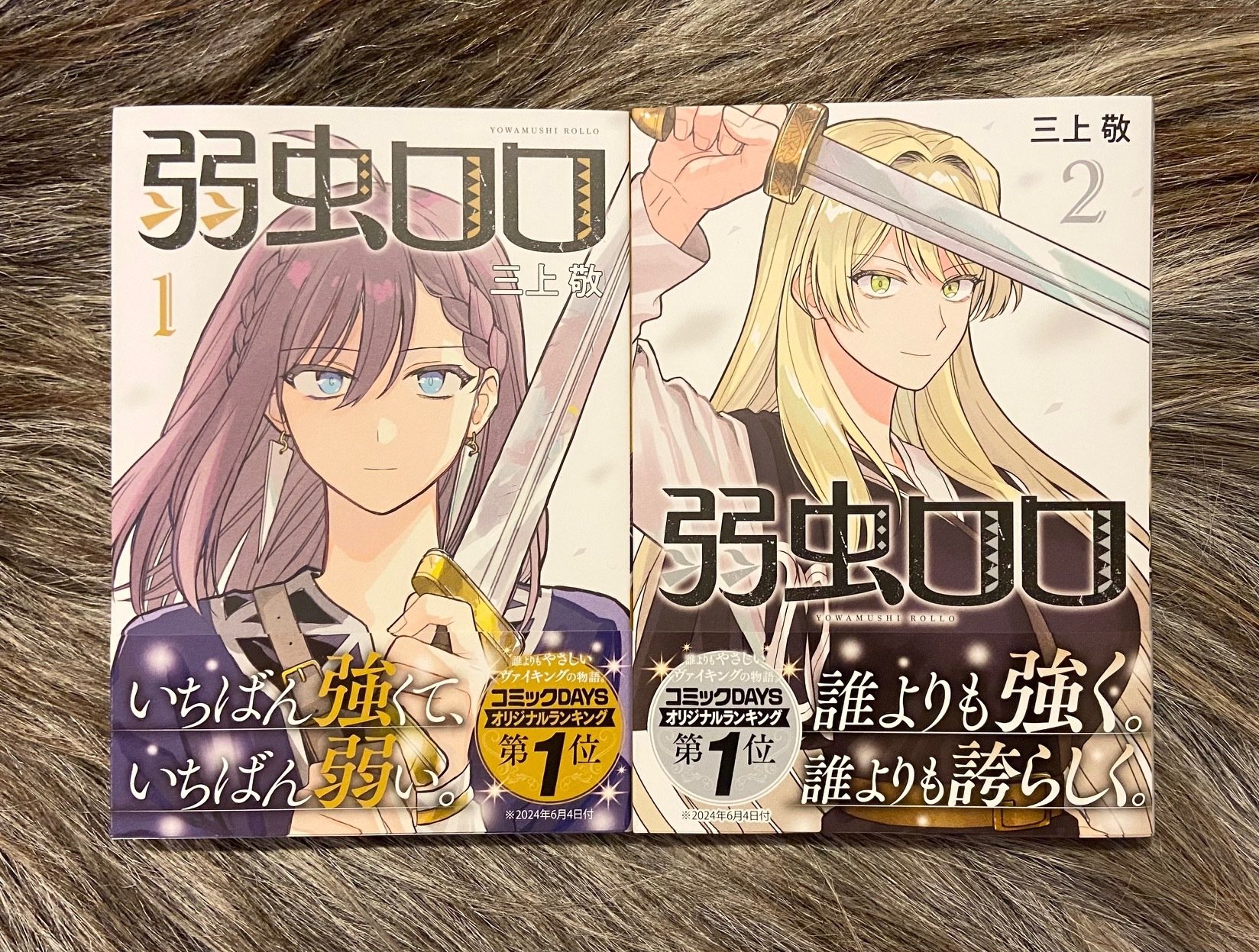 中世の「ヴァイキング」(独文書)(除籍本) 中世の「ヴァイキング」(独文書)(除籍本)