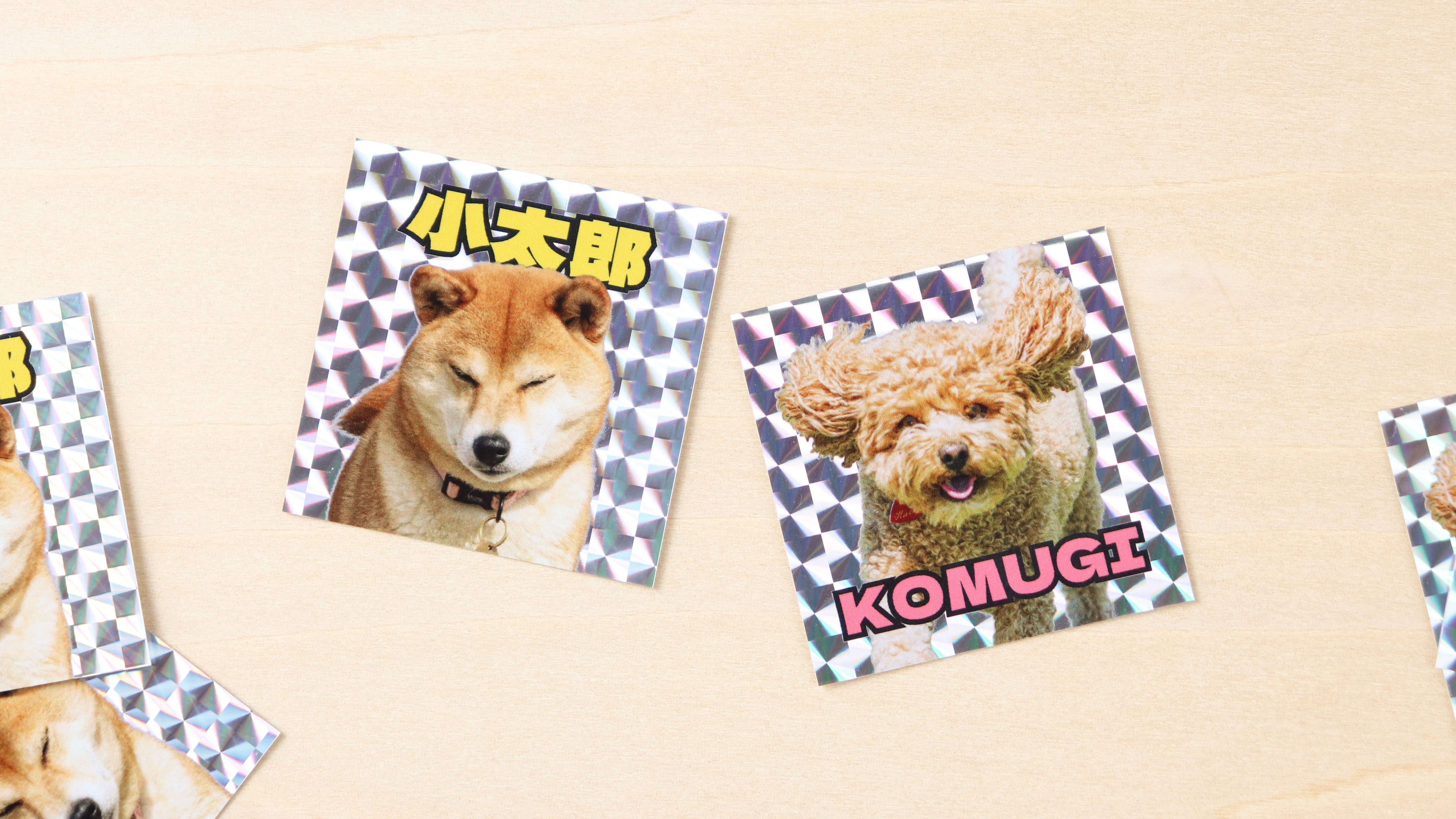 僧帽弁閉鎖不全症／愛犬のシールプリント／ビックリマンシールサイズ程 僧帽弁閉鎖不全症／愛犬のシールプリント／ビックリマンシールサイズ程