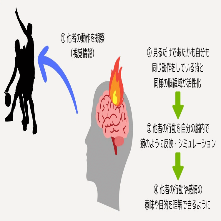 脳科学】ミラーニューロンが解き明かす共感力と人間関係改善の秘訣