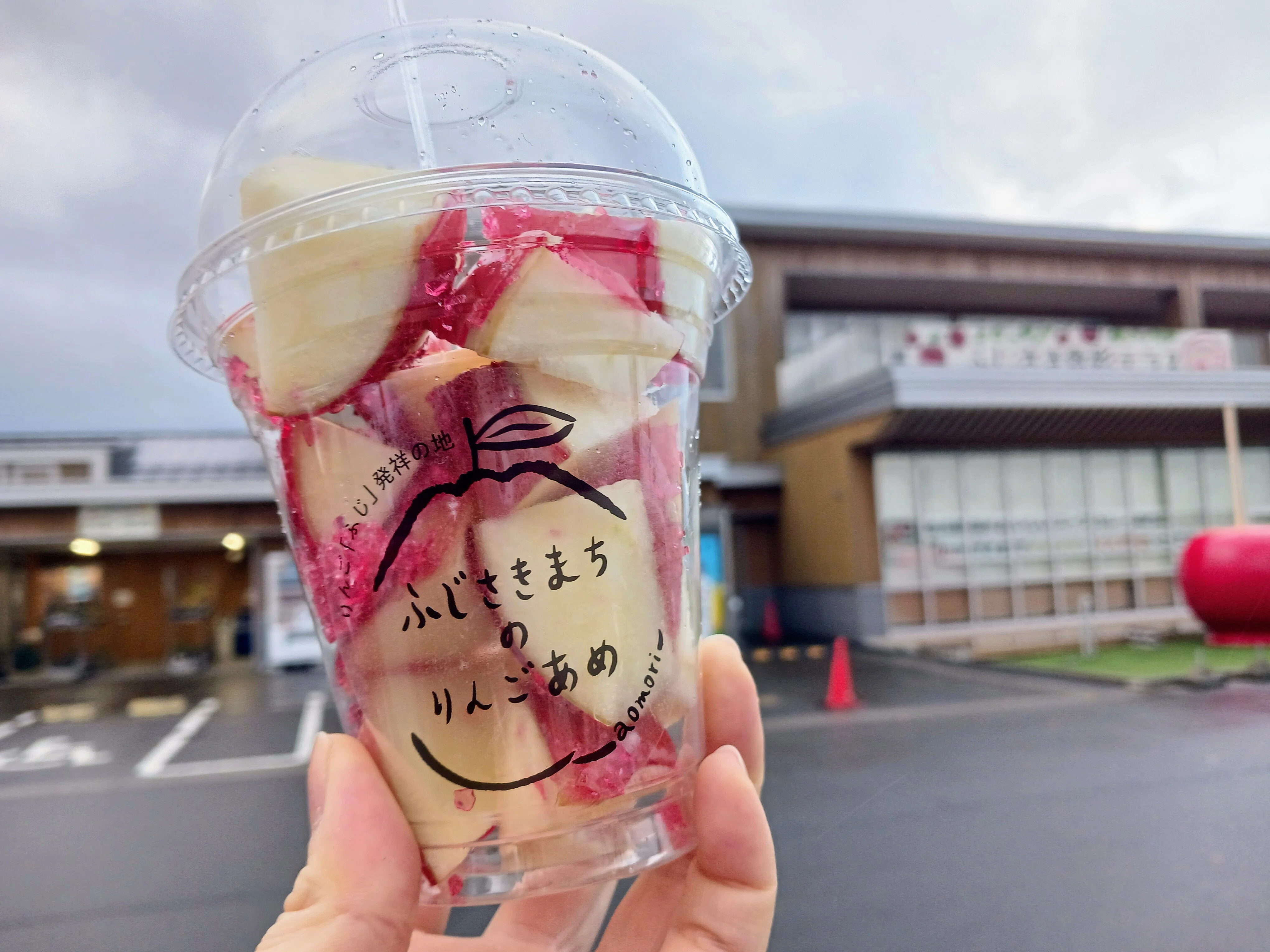 Gourmet] Apple Candy at Fujisaki Shokusai Terrace｜ミカミアカネ