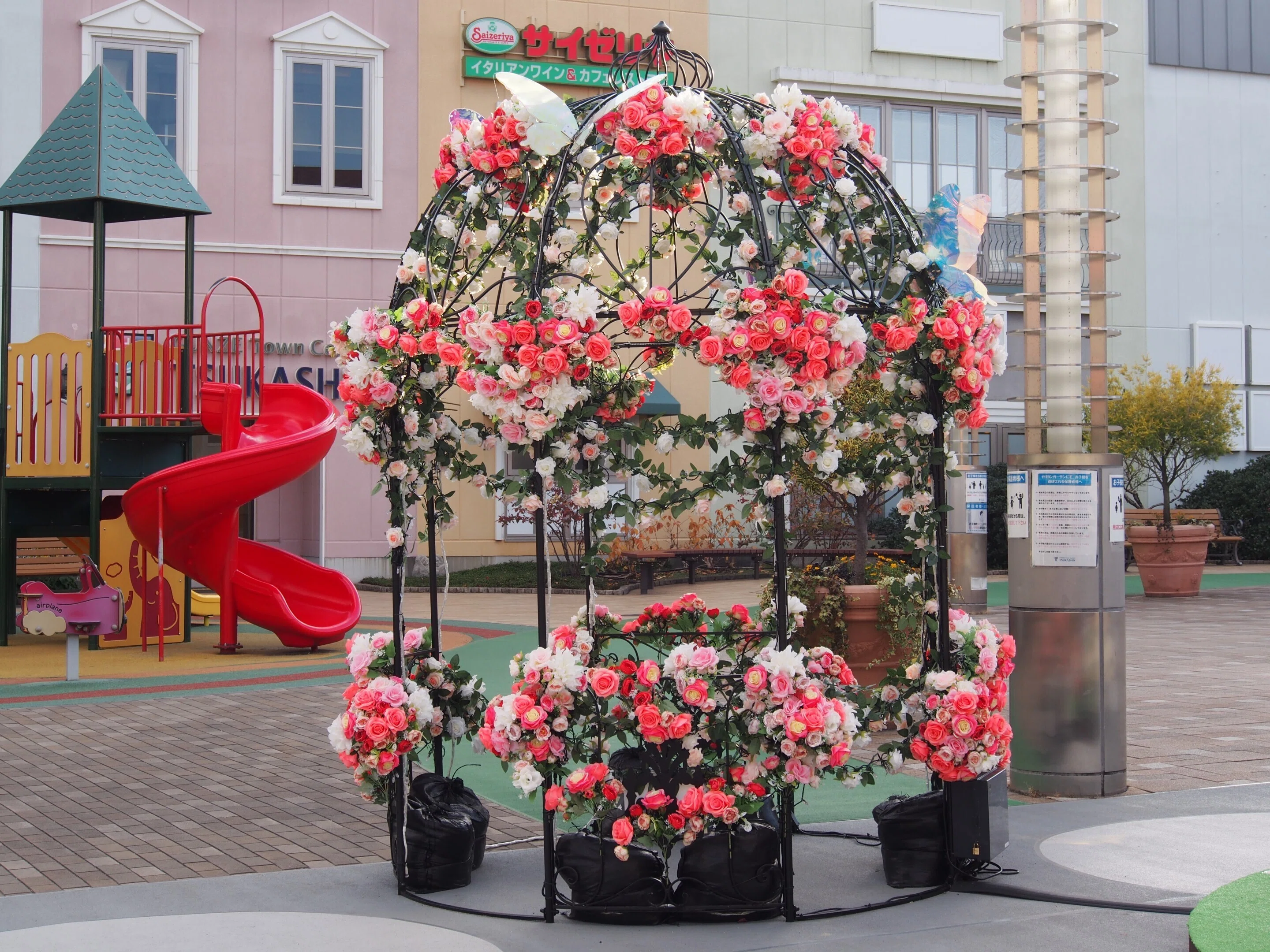 尼崎市 つかしん2024年12月16日【紅葉】｜レタス
