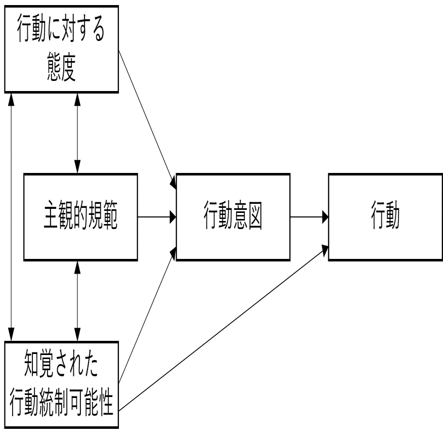 実践家参画型エンパワメント評価の理論と方法 Amazon.co.jp: 実践家参画型エンパワメント評価の理論と方法