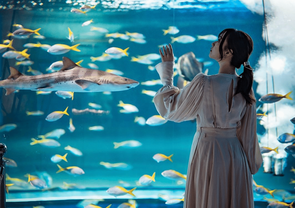 水族館 SUPER SALE【まとめ売り】