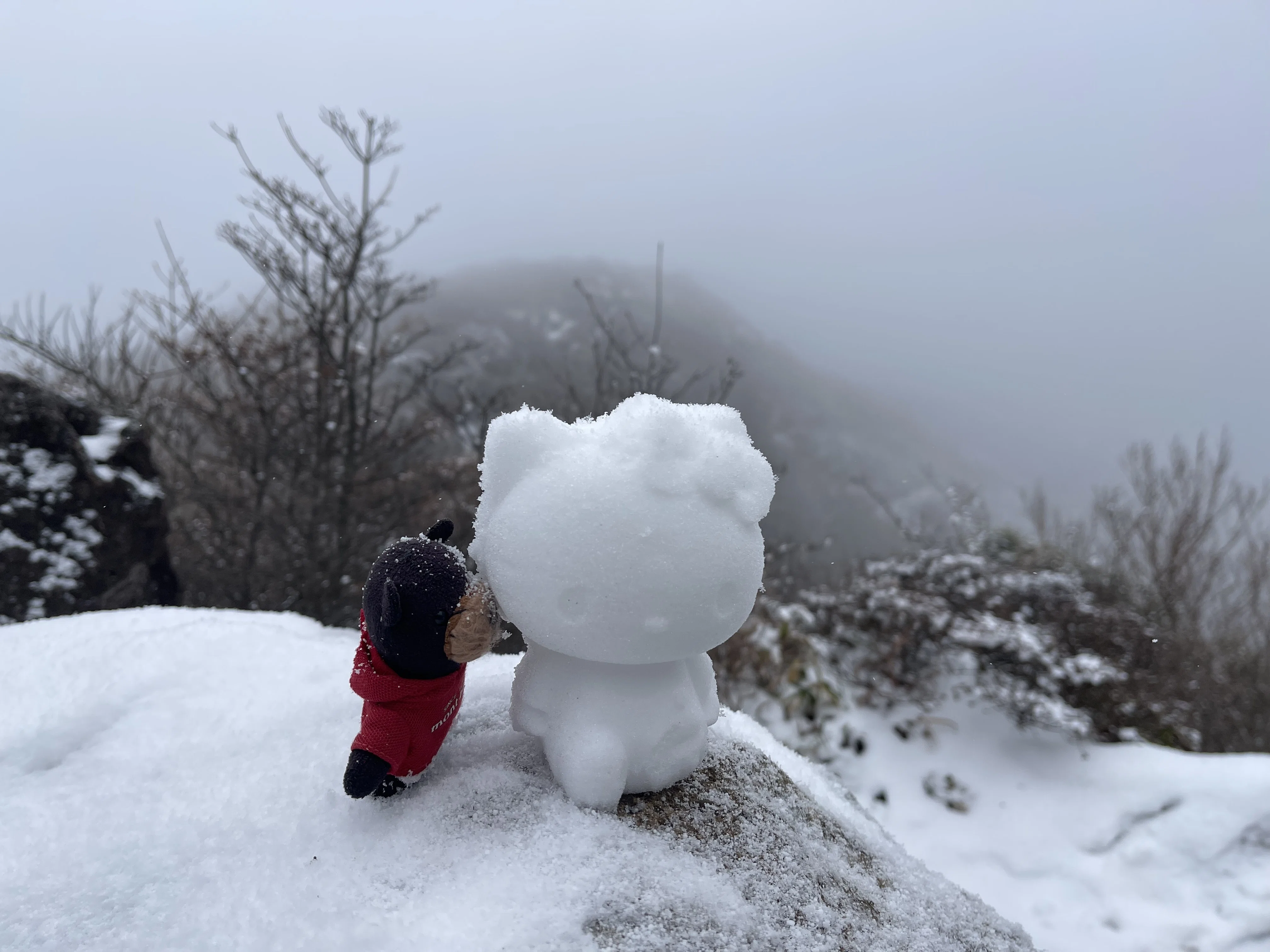 オーダー受付　パグ　雪の結晶　ご予約ページ　1/18 12月18日のくじゅう御池情報♬｜ラリーグラス