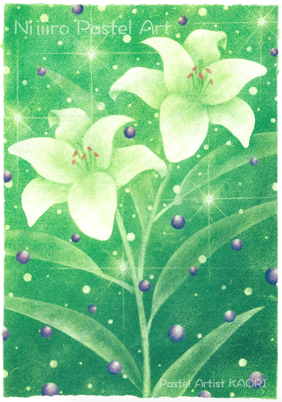 作品集/パステルアート(花 フラワーアート)｜KAORI