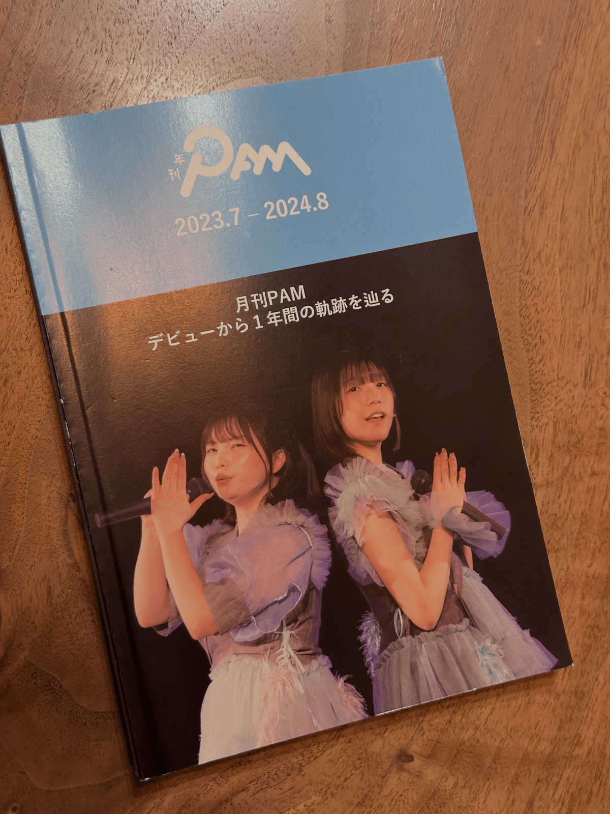 おやすみホログラム ＆ 月刊PAM / 2024 月刊PAM log｜takesix