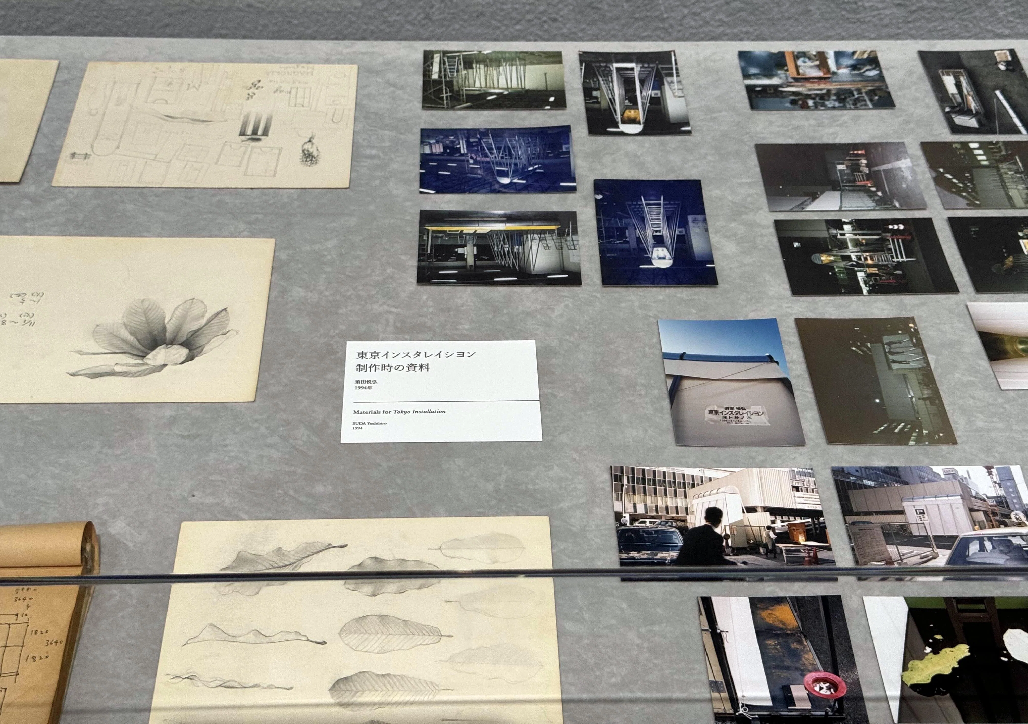 美術展2024#97】須田悦弘＠渋谷区立松濤美術館｜mata