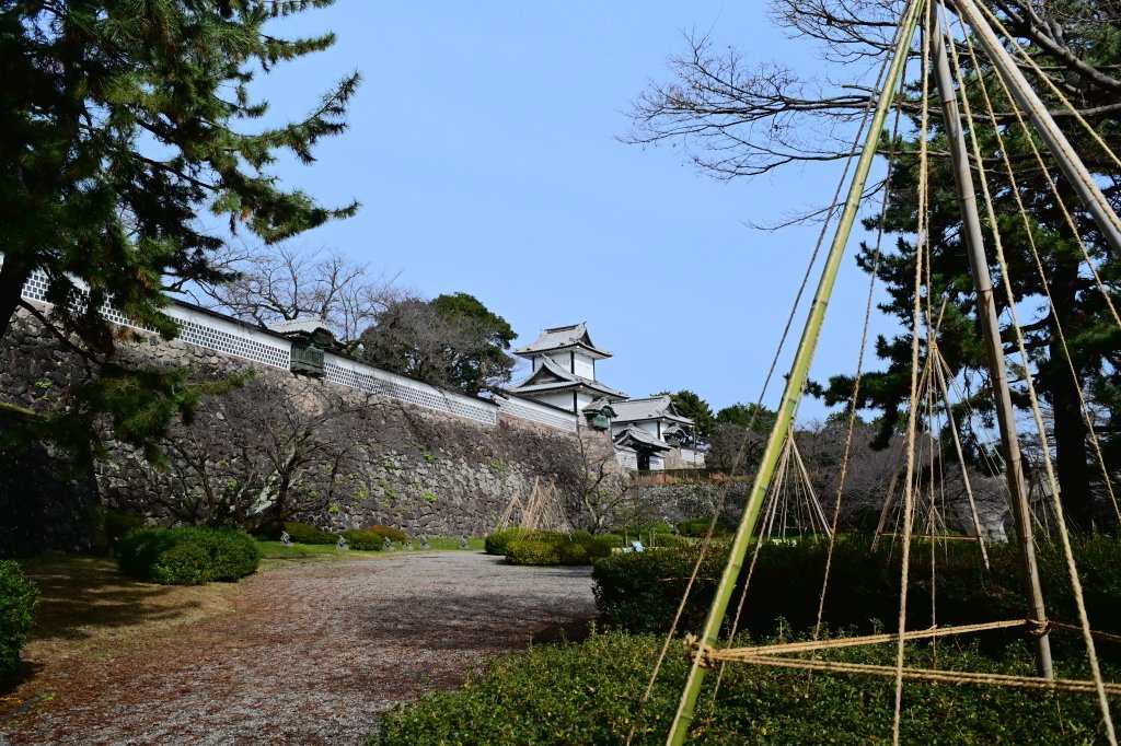 レンズ沼の歩き方」Ai Nikkor 28mm F2.8 / Nikkor Z 28mm F2.8 レンズ沼の歩き方」Ai Nikkor 28mm F2.8 / Nikkor Z 28mm F2.8