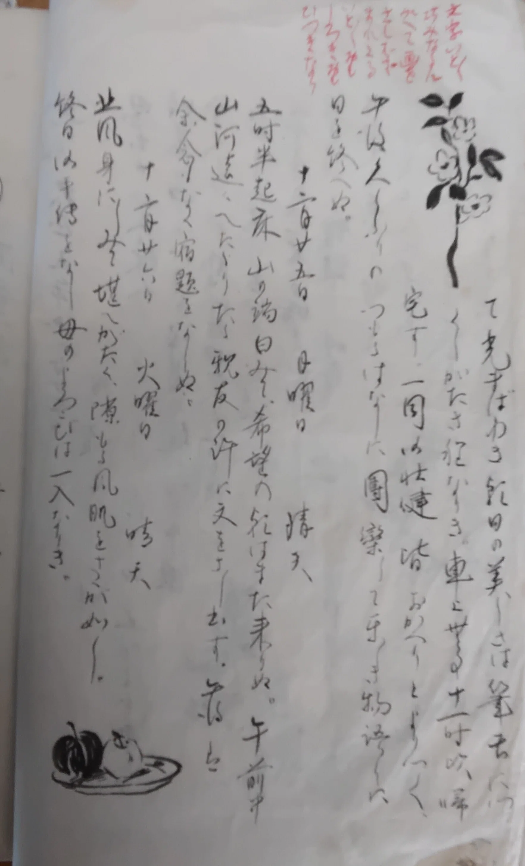 大正時代の女学生の日記《其の三》｜国松