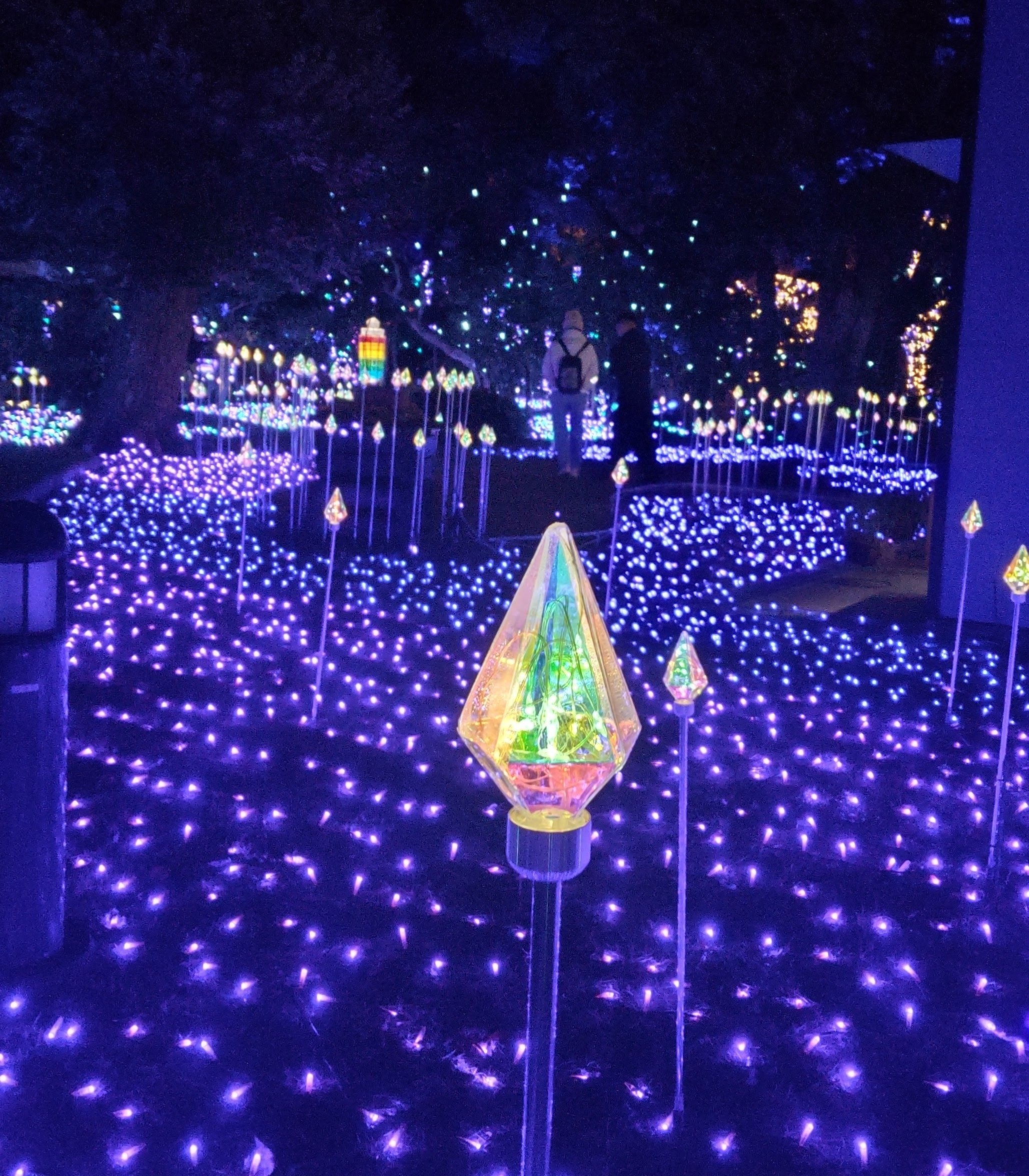 湘南の宝石】江ノ島の夜の散歩道｜日々樹（ひびき）