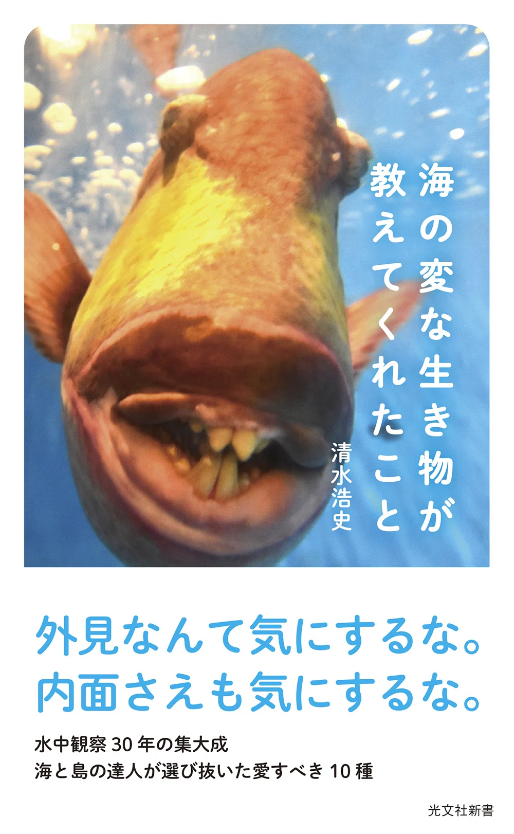 海の変な生き物が教えてくれたこと』より①カイロウドウケツの中で