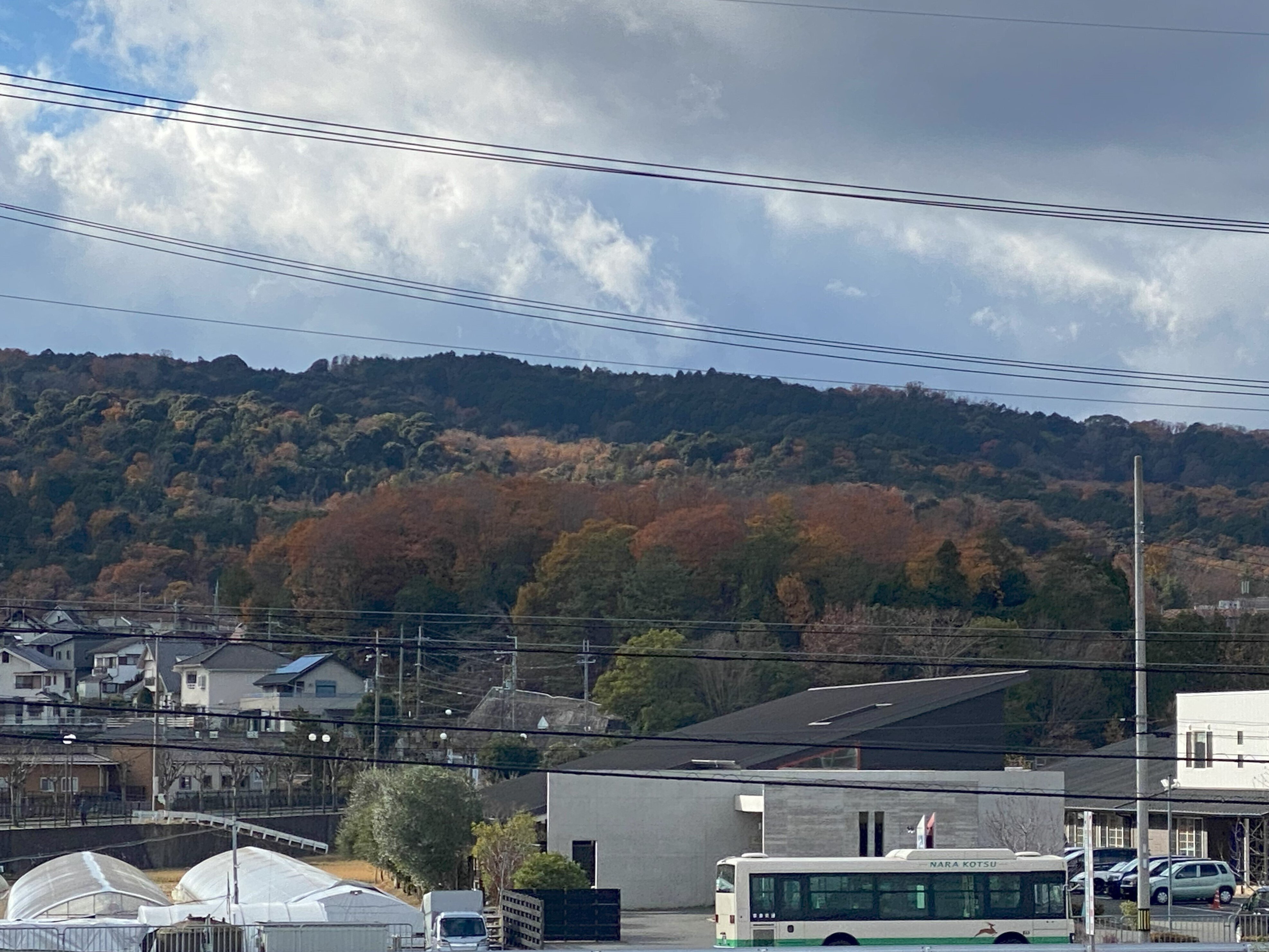 直径109m 国内最大の円墳「富雄丸山古墳」 大発見 蛇行剣！｜高坂正澄