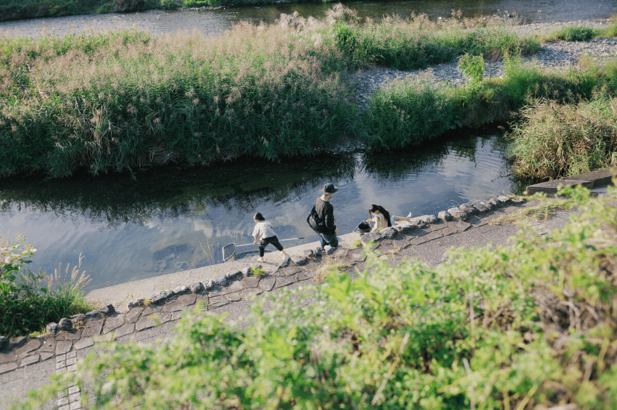 苦手な35mmを使い続けて見えてきたこと。｜ZEISS Biogon T* 2/35 ZM